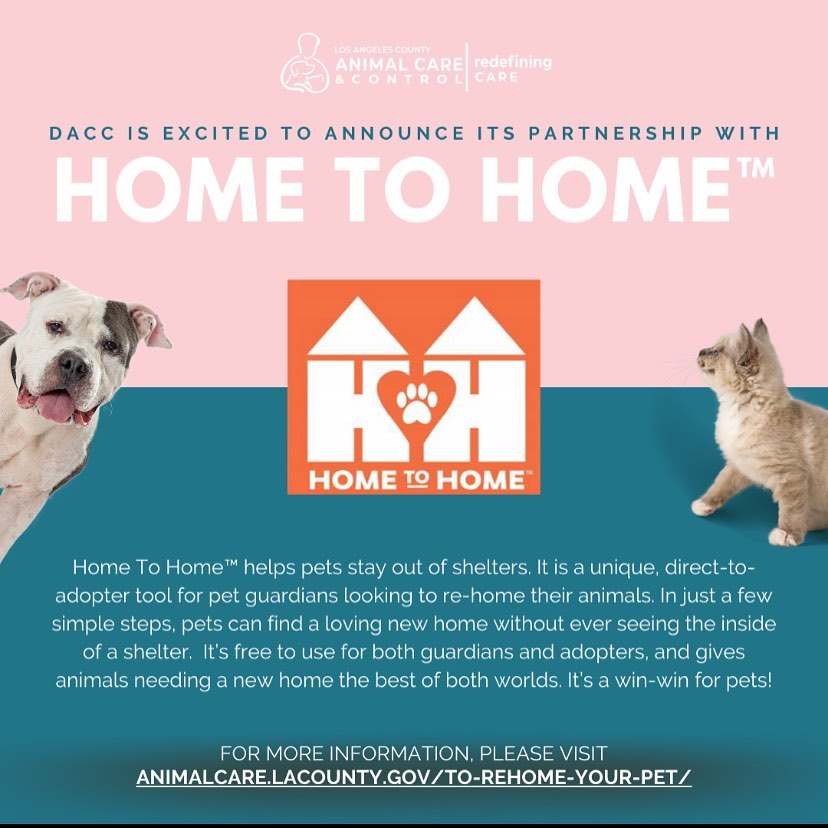 DACC has partnered with Home to Home to bring a new interactive tool to help families that need to rehome their pets. This online resource gives pet owners who can no longer keep their pets the opportunity to find them new, loving homes without bringing them to an animal care center. Click the link in our bio to learn more about this program! <a target='_blank' href='https://www.instagram.com/explore/tags/daccares/'>#daccares</a> <a target='_blank' href='https://www.instagram.com/explore/tags/hometohome/'>#hometohome</a>