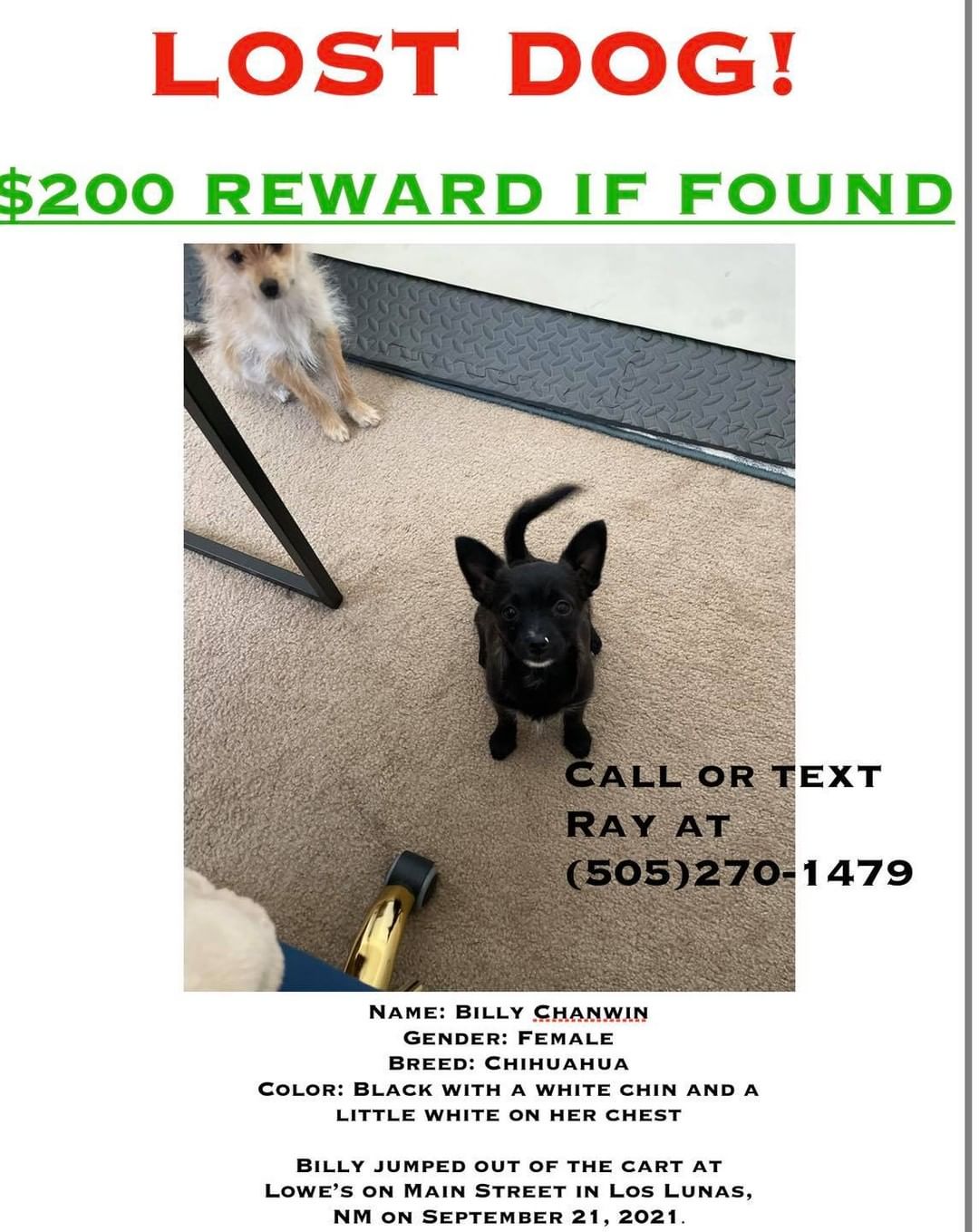 LOST IN LOS LUNAS! PLEASE SHARE! Reward if found!

<a target='_blank' href='https://www.instagram.com/explore/tags/reward/'>#reward</a> <a target='_blank' href='https://www.instagram.com/explore/tags/lostdog/'>#lostdog</a> <a target='_blank' href='https://www.instagram.com/explore/tags/lostdogsnewmexico/'>#lostdogsnewmexico</a> <a target='_blank' href='https://www.instagram.com/explore/tags/LostDogsNM/'>#LostDogsNM</a>