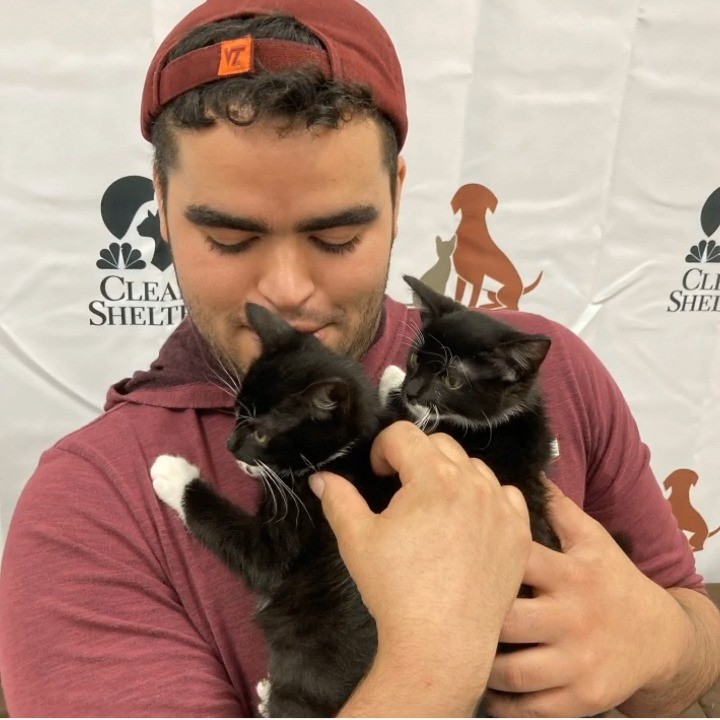 Mewow! Did you know that you helped to provide homes to more than 100 animals in need during the nationwide @ClearTheShelters event? Thanks to everyone who opened their heart and home to a furry friend!

<a target='_blank' href='https://www.instagram.com/explore/tags/MCPetAdoption/'>#MCPetAdoption</a> <a target='_blank' href='https://www.instagram.com/explore/tags/AdoptDontShop/'>#AdoptDontShop</a> <a target='_blank' href='https://www.instagram.com/explore/tags/PurrfectMatch/'>#PurrfectMatch</a> <a target='_blank' href='https://www.instagram.com/explore/tags/PawsomePup/'>#PawsomePup</a> <a target='_blank' href='https://www.instagram.com/explore/tags/MontgomeryCountyVa/'>#MontgomeryCountyVa</a> <a target='_blank' href='https://www.instagram.com/explore/tags/BlacksburgVa/'>#BlacksburgVa</a> <a target='_blank' href='https://www.instagram.com/explore/tags/ChristiansburgVa/'>#ChristiansburgVa</a> <a target='_blank' href='https://www.instagram.com/explore/tags/Blacksburg/'>#Blacksburg</a> <a target='_blank' href='https://www.instagram.com/explore/tags/Christiansburg/'>#Christiansburg</a> <a target='_blank' href='https://www.instagram.com/explore/tags/HokiePets/'>#HokiePets</a> <a target='_blank' href='https://www.instagram.com/explore/tags/ClearTheShelters/'>#ClearTheShelters</a>