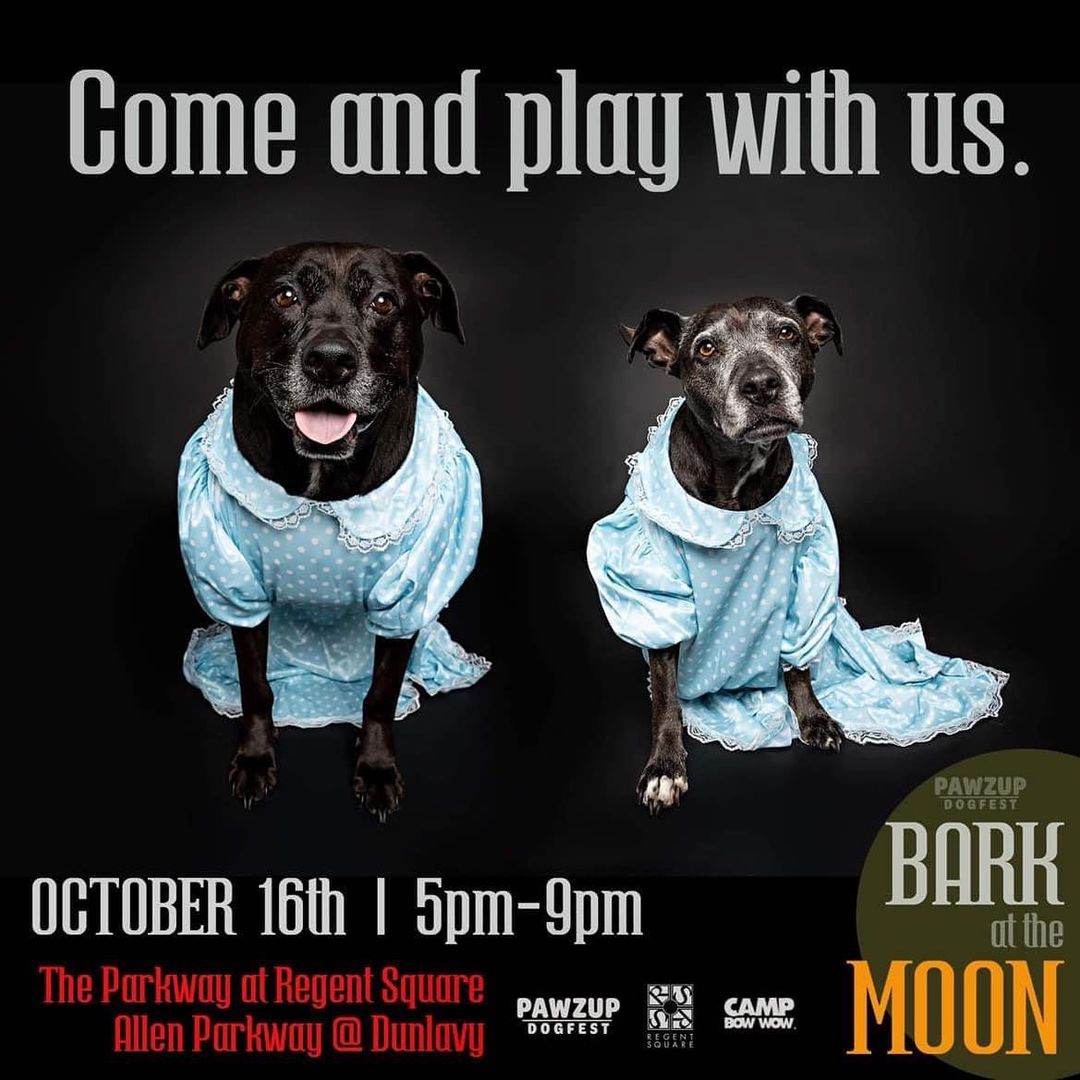 Stop by our booth at the event! We will have some fun raffle items and lots of merchandise! We will also have some of our adoptable dogs there ready to meet you! <a target='_blank' href='https://www.instagram.com/explore/tags/pawzup/'>#pawzup</a> <a target='_blank' href='https://www.instagram.com/explore/tags/hhfrescue/'>#hhfrescue</a> <a target='_blank' href='https://www.instagram.com/explore/tags/barkatthemoon/'>#barkatthemoon</a> <a target='_blank' href='https://www.instagram.com/explore/tags/costumecontest/'>#costumecontest</a> <a target='_blank' href='https://www.instagram.com/explore/tags/adoptdontshop/'>#adoptdontshop</a> <a target='_blank' href='https://www.instagram.com/explore/tags/Houston/'>#Houston</a> 

https://fb.me/e/1uKxImrgt