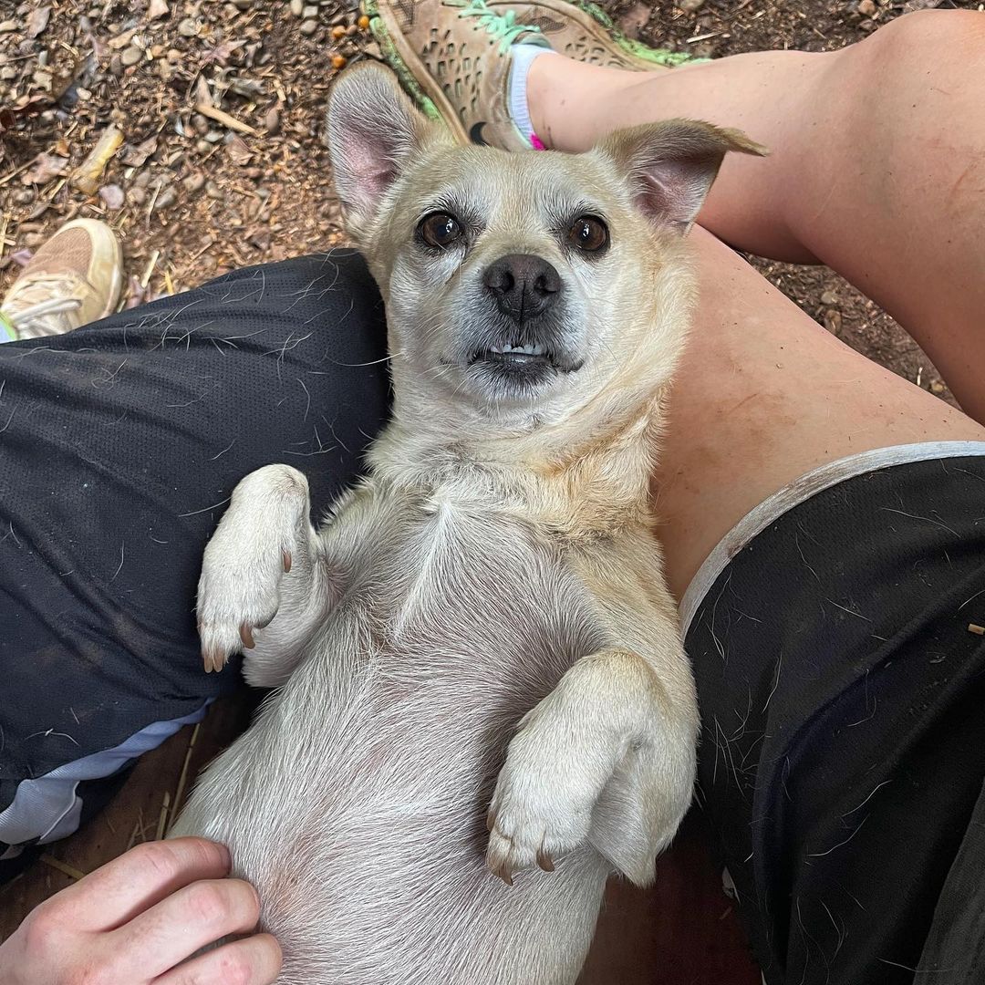 Buster showing off his best angle