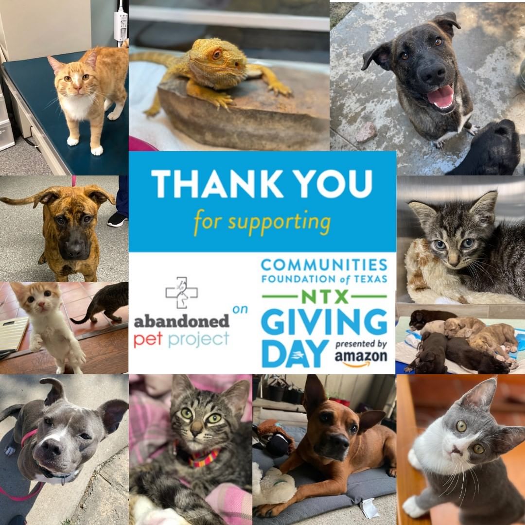 An ENORMOUS THANK YOU to all our supporters and donors for contributing to our @ntxgivingday  fundraising yesterday! You all make our lifesaving work possible and we could not do any of it without YOU! <a target='_blank' href='https://www.instagram.com/explore/tags/BeTheGood/'>#BeTheGood</a> <a target='_blank' href='https://www.instagram.com/explore/tags/NTxGivingDay/'>#NTxGivingDay</a>