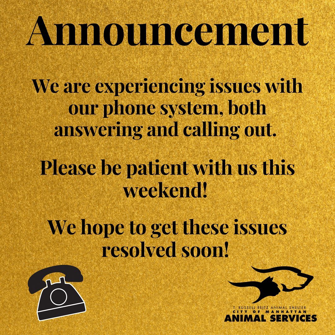 Just a quick heads up, we are experiencing some technical difficulties with our phones today. We ask that you please be patient with us, and we hope to have the issues resolved this week! In the meantime, we are open Mon-Sat from 1-5pm and you are more than welcome to come on in to ask your questions in person! You can find our adoptable pets at https://www.petfinder.com/search/pets-for-adoption/?shelter_id%5B0%5D=KS03&sort%5B0%5D=recently_added!