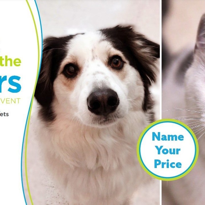 🐈🐕😍Empty The Shelters Adoption Event 😍🐕🐈

Name Your Own Price Adoptions!
October 4th - October 8th 
12pm - 4pm at 4525 W. Wendover Ave. Greensboro NC, 27409 

NO APPOINTMENT NEEDED! 

Join us for the @bissellpets National Empty The Shelters Adoption Event. Come adopt your new family member!

<a target='_blank' href='https://www.instagram.com/explore/tags/EmptyTheShelters/'>#EmptyTheShelters</a> <a target='_blank' href='https://www.instagram.com/explore/tags/petadoption/'>#petadoption</a> <a target='_blank' href='https://www.instagram.com/explore/tags/gcares/'>#gcares</a> <a target='_blank' href='https://www.instagram.com/explore/tags/peoplepetscommunity/'>#peoplepetscommunity</a>