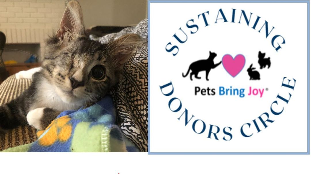 Pets Bring Joy needs your help🙏😻

Please become a recurring monthly donor! For just $10 a month you can make a huge difference to our rescue kitties.

Please help us reach our goal of 100 recurring monthly donors in our Sustaining Donors Circle by October 15th. 

Every donation counts towards saving lives and making sure our kitties get everything they need on their journey to finding forever homes.

https://petsbringjoy.org/joy.html

Already a monthly donor? Thank you for helping us save lives! We couldn't continue our mission without you and your generous support. Please share on social with fellow animal lovers!