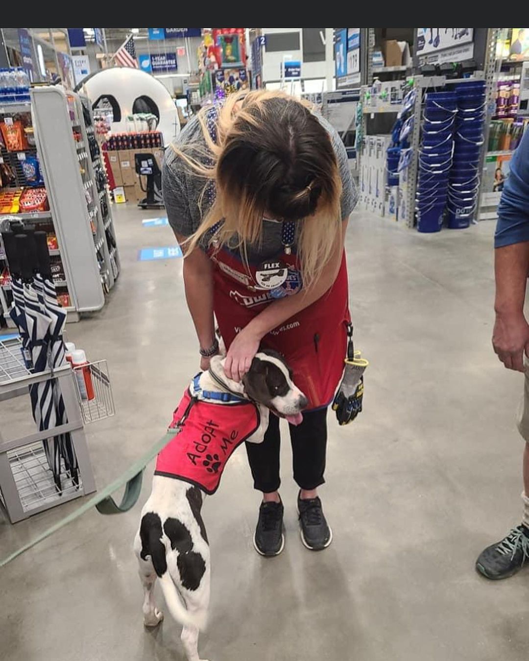 Buster enjoyed his visit to @loweshomeimprovement today, & it looks like everyone else did too! 😂
.
.
.
<a target='_blank' href='https://www.instagram.com/explore/tags/RangeRescue/'>#RangeRescue</a> <a target='_blank' href='https://www.instagram.com/explore/tags/pitbullsofinstagram/'>#pitbullsofinstagram</a>