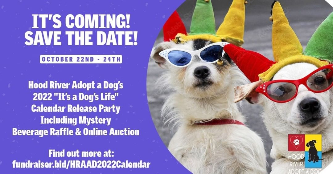 Since 2009, our team has been hosting events and raising money to help Hood River Adopt a Dog continue to perform the lifesaving work we do. Because of you and your support, our staff, board, fosters and volunteers remain committed and focused on providing the most loving-care, best medical services, “fur-ever” adoption services, community assisted spay/neuter, emergency medical assistance and food assistance to Gorge area dogs. 
 
Our team is once again planning something new, so get excited.  On October 22nd, we are launching Hood River Adopt a Dog’s 2022 “It’s a Dog’s Life” Calendar Release Party including a Mystery Beverage Raffle and Online Auction. 

Learn more about this exciting event at fundraiser.bid/HRAAD2022Calendar.