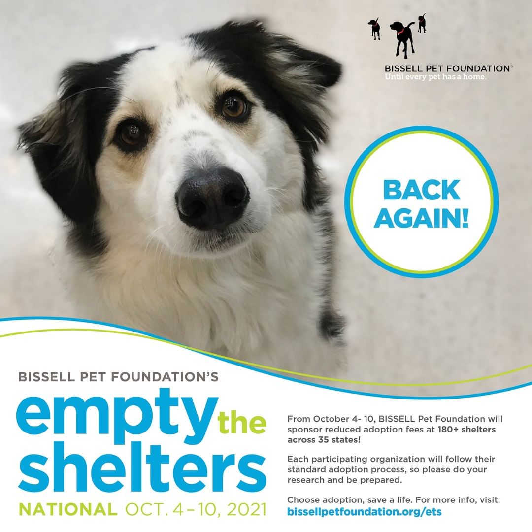 Salmon Animal Shelter is a proud participant in this year's Bissell Pet Foundation Empty the Shelters event.  Our ADOPT-A-THON is this coming Saturday, October 2nd!  Noon to 4pm.  Outside at the Shelter.  958 VFW Drive. Come visit us and meet your new best friend.