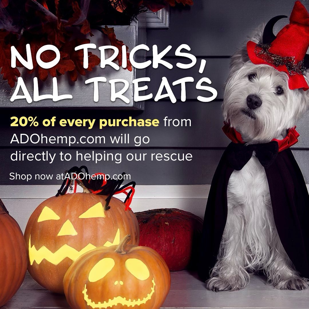 Yay! Another Halloween deal for PPR followers! 
One of our favorite board-and-trainers has developed a line of pet CBD products, and they will be donating a portion of all proceeds to us!
🐾🐾
Now that a lot of people are heading back to work, a lot of pets will start experiencing separation anxiety, since they’re not used to being left alone. CBD works differently for every pet, but we’ve seen success with CBD when it comes to a lot of pet anxiety. If you’ve ever thought about trying it, may as well try <a target='_blank' href='https://www.instagram.com/explore/tags/adohemp/'>#adohemp</a>, to not only support a person whose board and train has helped us out over the years, but also to help PPR receive donations!
Adohemp.com (not atadohemp.com)
<a target='_blank' href='https://www.instagram.com/explore/tags/shopforacause/'>#shopforacause</a> <a target='_blank' href='https://www.instagram.com/explore/tags/petcbd/'>#petcbd</a> <a target='_blank' href='https://www.instagram.com/explore/tags/adopt/'>#adopt</a> <a target='_blank' href='https://www.instagram.com/explore/tags/foster/'>#foster</a> <a target='_blank' href='https://www.instagram.com/explore/tags/nkla/'>#nkla</a> <a target='_blank' href='https://www.instagram.com/explore/tags/adoptdontshop/'>#adoptdontshop</a><a target='_blank' href='https://www.instagram.com/explore/tags/donate/'>#donate</a> <a target='_blank' href='https://www.instagram.com/explore/tags/support/'>#support</a> <a target='_blank' href='https://www.instagram.com/explore/tags/losangeles/'>#losangeles</a> <a target='_blank' href='https://www.instagram.com/explore/tags/rescuedog/'>#rescuedog</a> <a target='_blank' href='https://www.instagram.com/explore/tags/shelterdog/'>#shelterdog</a> <a target='_blank' href='https://www.instagram.com/explore/tags/rescuedismyfavoritebreed/'>#rescuedismyfavoritebreed</a> <a target='_blank' href='https://www.instagram.com/explore/tags/rescuedogsofinstagram/'>#rescuedogsofinstagram</a> <a target='_blank' href='https://www.instagram.com/explore/tags/dog/'>#dog</a> <a target='_blank' href='https://www.instagram.com/explore/tags/dogsofinstagram/'>#dogsofinstagram</a> <a target='_blank' href='https://www.instagram.com/explore/tags/rescue/'>#rescue</a> <a target='_blank' href='https://www.instagram.com/explore/tags/shelterdogsofinstagram/'>#shelterdogsofinstagram</a> <a target='_blank' href='https://www.instagram.com/explore/tags/whorescuedwho/'>#whorescuedwho</a> <a target='_blank' href='https://www.instagram.com/explore/tags/fosteringsaveslives/'>#fosteringsaveslives</a> <a target='_blank' href='https://www.instagram.com/explore/tags/fosterme/'>#fosterme</a> <a target='_blank' href='https://www.instagram.com/explore/tags/adoptme/'>#adoptme</a> <a target='_blank' href='https://www.instagram.com/explore/tags/savethemall/'>#savethemall</a> <a target='_blank' href='https://www.instagram.com/explore/tags/losangeles/'>#losangeles</a> <a target='_blank' href='https://www.instagram.com/explore/tags/socal/'>#socal</a> <a target='_blank' href='https://www.instagram.com/explore/tags/adoptabledogsofinstagram/'>#adoptabledogsofinstagram</a>