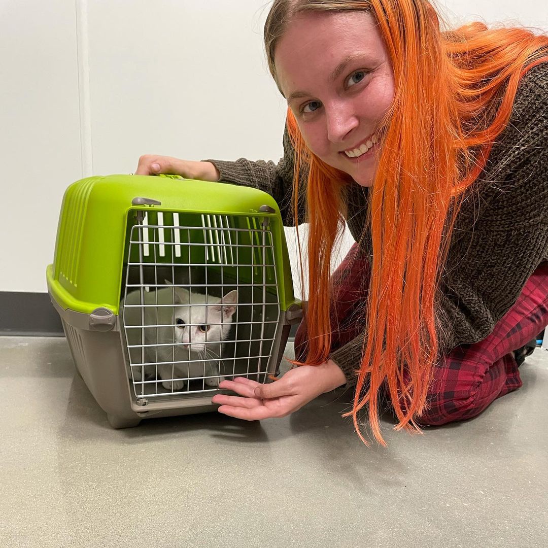 Our sweet Abigail found her furever home last night. She got a sweet, patient mama that is going to give her a happy home and new furry bestie <a target='_blank' href='https://www.instagram.com/explore/tags/adoptionsaveslives/'>#adoptionsaveslives</a> <a target='_blank' href='https://www.instagram.com/explore/tags/happyadoptionday/'>#happyadoptionday</a>