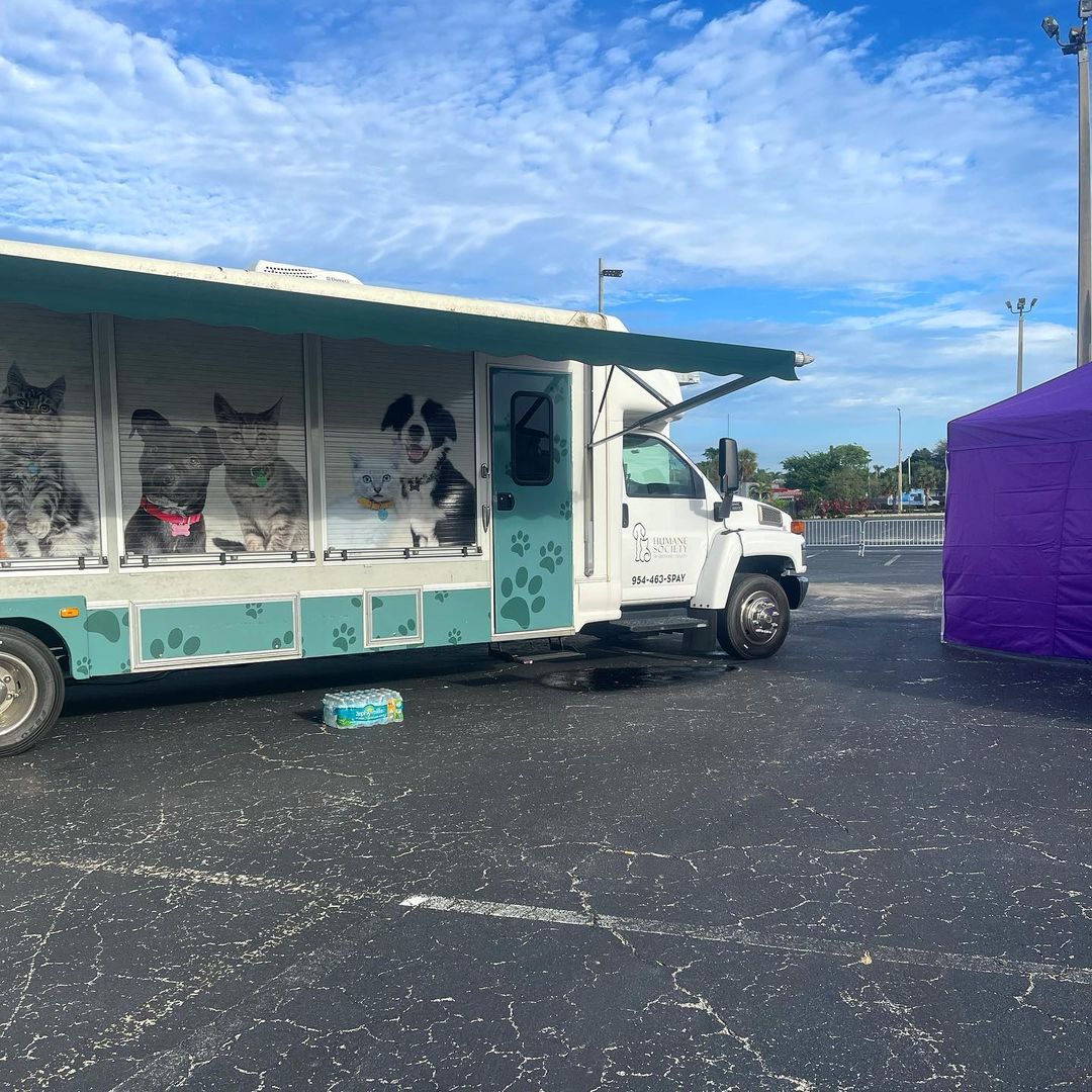 It’s a beautiful day to show us your kitties! Doing what we do best with our Speuter event in Hallandale 💜 Make sure to visit our website for the next upcoming dates! <a target='_blank' href='https://www.instagram.com/explore/tags/spayneuter/'>#spayneuter</a> <a target='_blank' href='https://www.instagram.com/explore/tags/adoptdontshop/'>#adoptdontshop</a> <a target='_blank' href='https://www.instagram.com/explore/tags/purrr/'>#purrr</a>