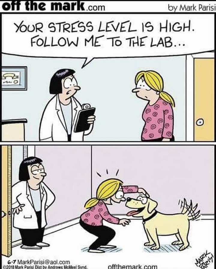 Friday's Funny... <a target='_blank' href='https://www.instagram.com/explore/tags/FollowMeToTheLab/'>#FollowMeToTheLab</a> !!

<a target='_blank' href='https://www.instagram.com/explore/tags/naturalstressrelief/'>#naturalstressrelief</a>, <a target='_blank' href='https://www.instagram.com/explore/tags/workseverytime/'>#workseverytime</a>, <a target='_blank' href='https://www.instagram.com/explore/tags/taketwoandpawusinthemorning/'>#taketwoandpawusinthemorning</a>