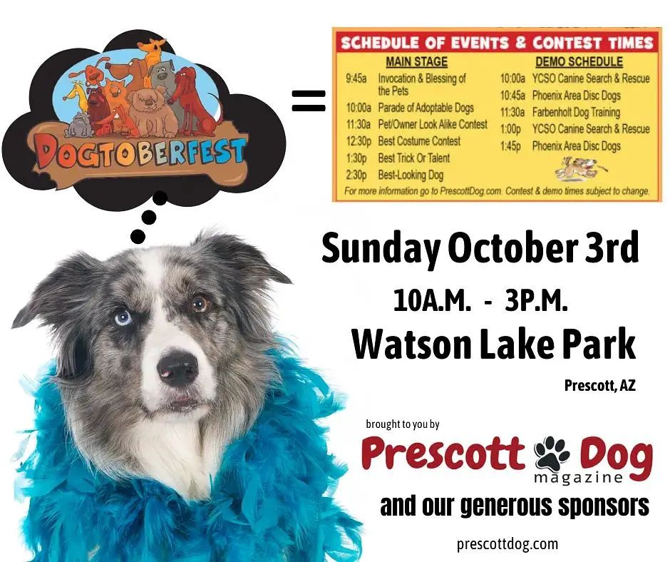 Our UAF dogs are resting up and won't be at Petco today but we will be at DOGTOBERFEST tomorrow at Watson Lake Park from 10-3. We will have some adorable adoptables and a table full of goodies to purchase to help animals in need! See ya there!