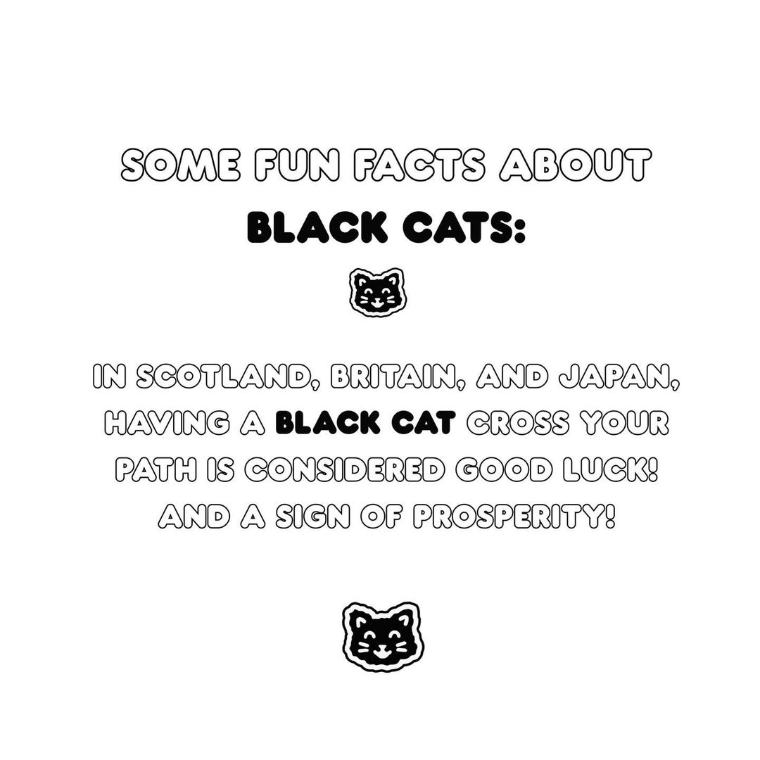 🐈‍⬛HAPPY BLACK CAT AWARENESS MONTH !! 🐈‍⬛

Repost and share🐈‍⬛!

🖤Tag us in pictures of your BLACK CATS!🐈‍⬛🖤