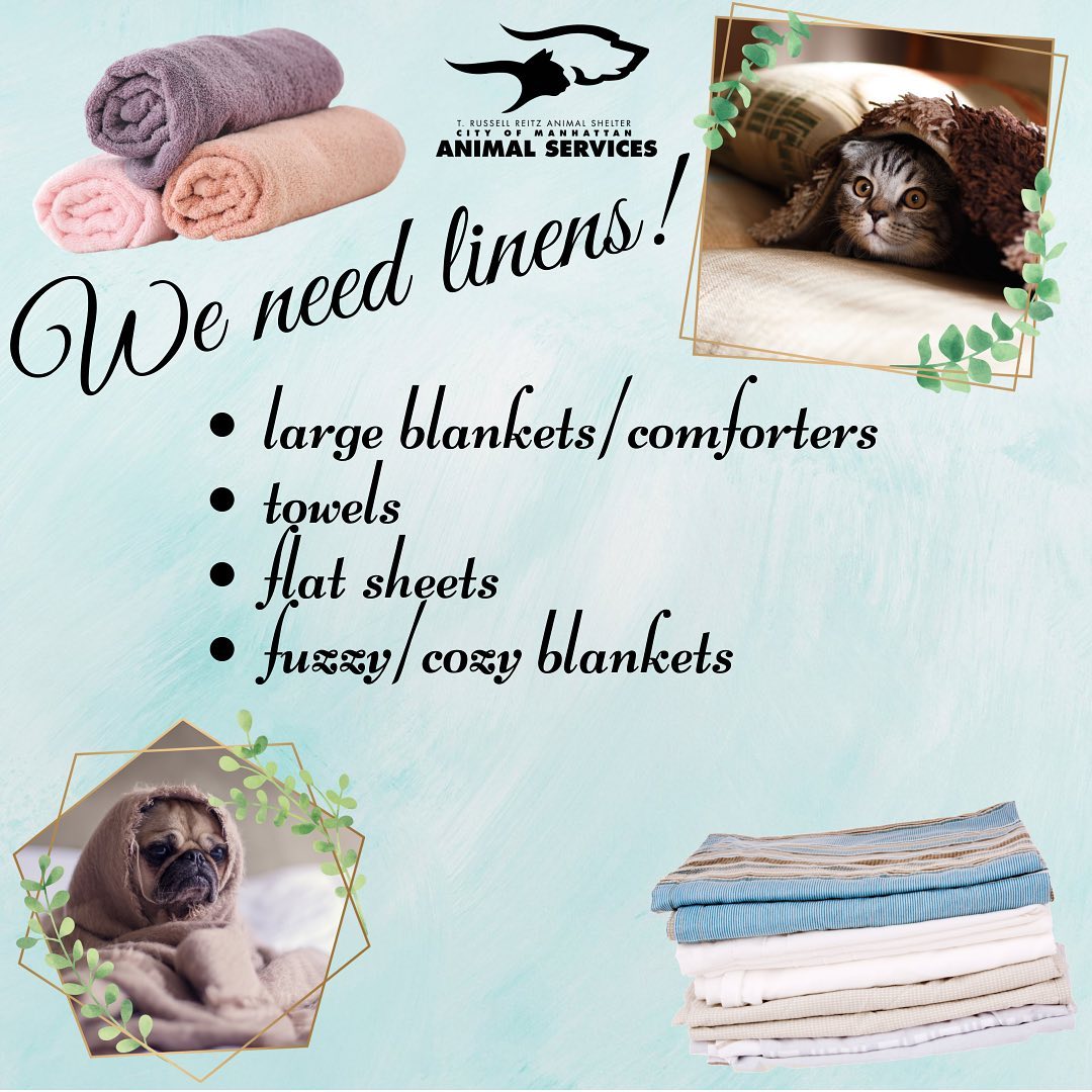 We are running low on linens again and would love to help you clear out some extra storage space in your closets! Our pets love your gently used or no longer needed blankets, towels, and sheets for snuggling into, especially with the fall weather starting to move in! We are open Mon-Sat from 1-5pm if you’d like to bring donations in, or you can set them outside our front door and staff will grab them as we see them. Thank you for your continued support, and keep an eye on our social media’s for a fun fall themed poll we need your opinions on!