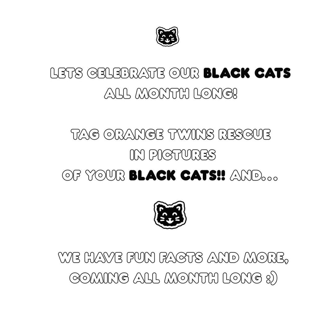 🐈‍⬛HAPPY BLACK CAT AWARENESS MONTH !! 🐈‍⬛

Repost and share🐈‍⬛!

🖤Tag us in pictures of your BLACK CATS!🐈‍⬛🖤