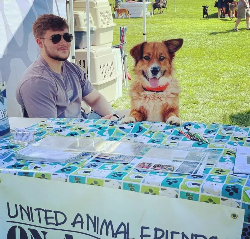 Elliot is huge help at Dogtoberfest telling everyone about UAF and the great dogs for adoption! Ryan in the background with the sunglasses was helping to 😂