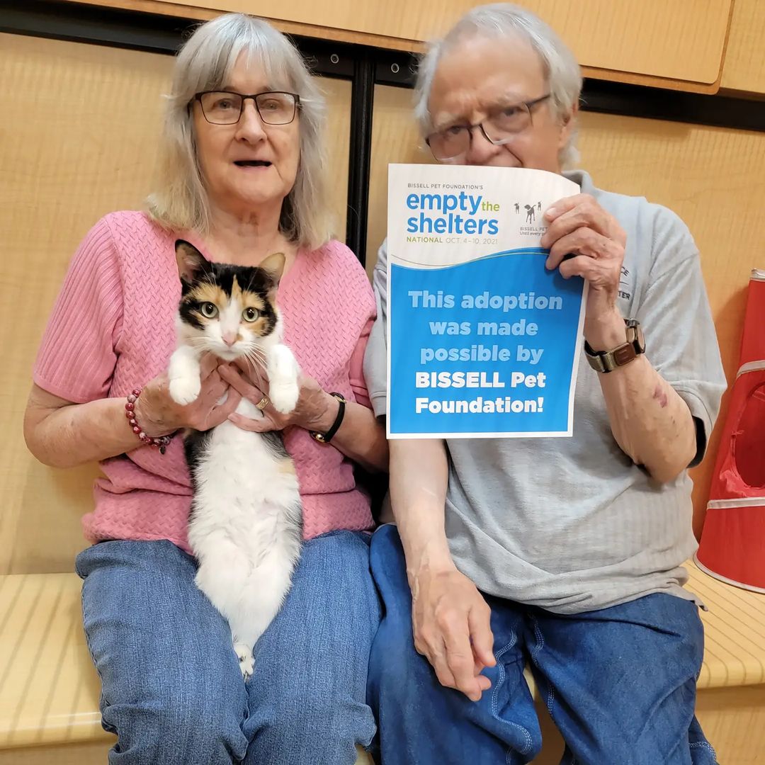 Tippy went to her furever home today with help from @bissellpets and @cathy_bissell 

<a target='_blank' href='https://www.instagram.com/explore/tags/emptytheshelters/'>#emptytheshelters</a> <a target='_blank' href='https://www.instagram.com/explore/tags/sheltercat/'>#sheltercat</a> <a target='_blank' href='https://www.instagram.com/explore/tags/adoptdontshop/'>#adoptdontshop</a> <a target='_blank' href='https://www.instagram.com/explore/tags/calico/'>#calico</a> <a target='_blank' href='https://www.instagram.com/explore/tags/fureverhome/'>#fureverhome</a> <a target='_blank' href='https://www.instagram.com/explore/tags/adoption/'>#adoption</a>