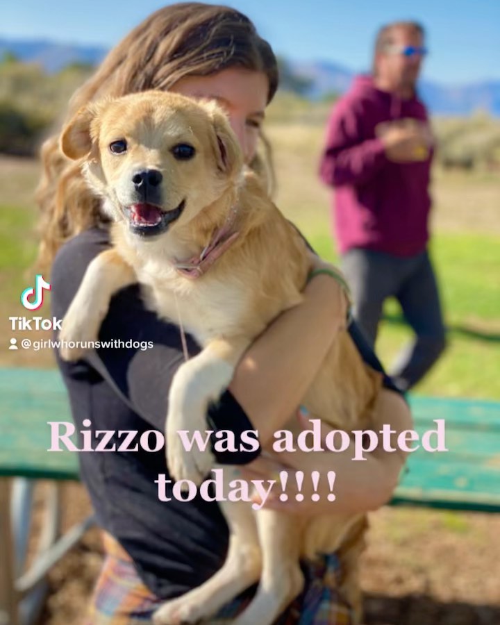 😭😭😭🙌🏼🙌🏼🙌🏼❤️❤️❤️ Rizzo ( now name Winnie) found her forever home today. Thank you LZ for adopting this little gal.  Music by sara bareilles- I choose you