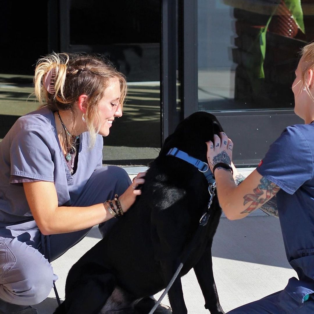 🥰 Staff appreciation post! 🥰 We are so lucky to have such a wonderful staff that truly cares about the well-being of our animals. Pictures here are a few members of or animal care team as they send Labrador, Patrick off to his live-in training program.