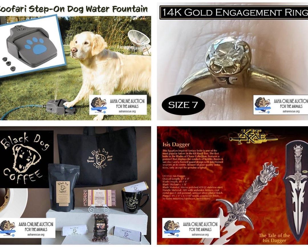 Come and join the fun! Our auction is up and running.
Hundreds of amazing items up for bid. 
100% of proceeds go to the pups of AAHA Rescue.

Make sure to turn notifications on when you click 'going' so you don't miss any of the amazing items we have up for grabs. Facebook <a target='_blank' href='https://www.instagram.com/explore/tags/auction/'>#auction</a> <a target='_blank' href='https://www.instagram.com/explore/tags/fundraiser/'>#fundraiser</a> <a target='_blank' href='https://www.instagram.com/explore/tags/endbsl/'>#endbsl</a>🚫 <a target='_blank' href='https://www.instagram.com/explore/tags/rescuedogsofinstagram/'>#rescuedogsofinstagram</a> 

https://fb.me/e/3KOAWHXUT