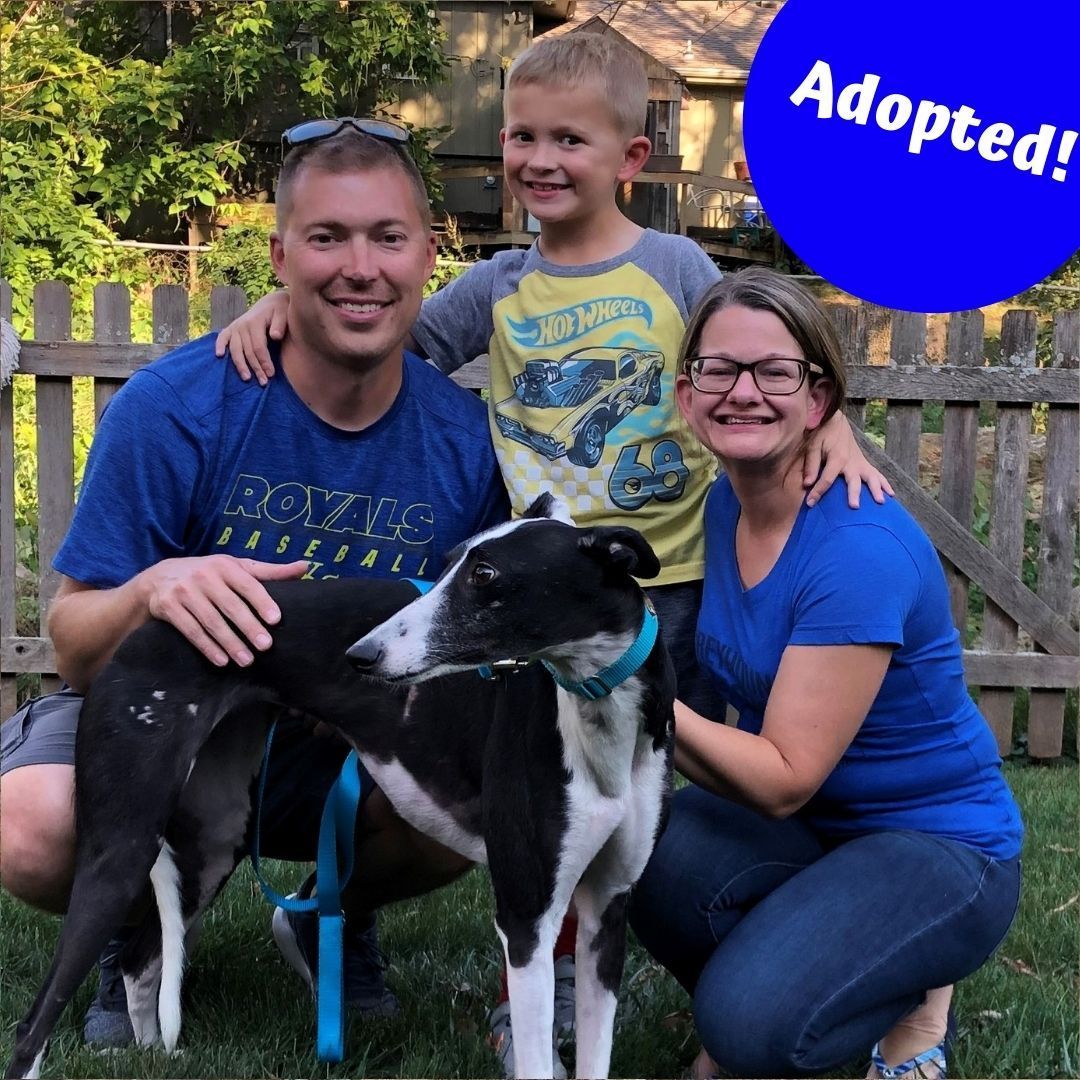 The Bartuccio family found their newest member. Crystal has been adopted in to their home and she is going to fit right in!