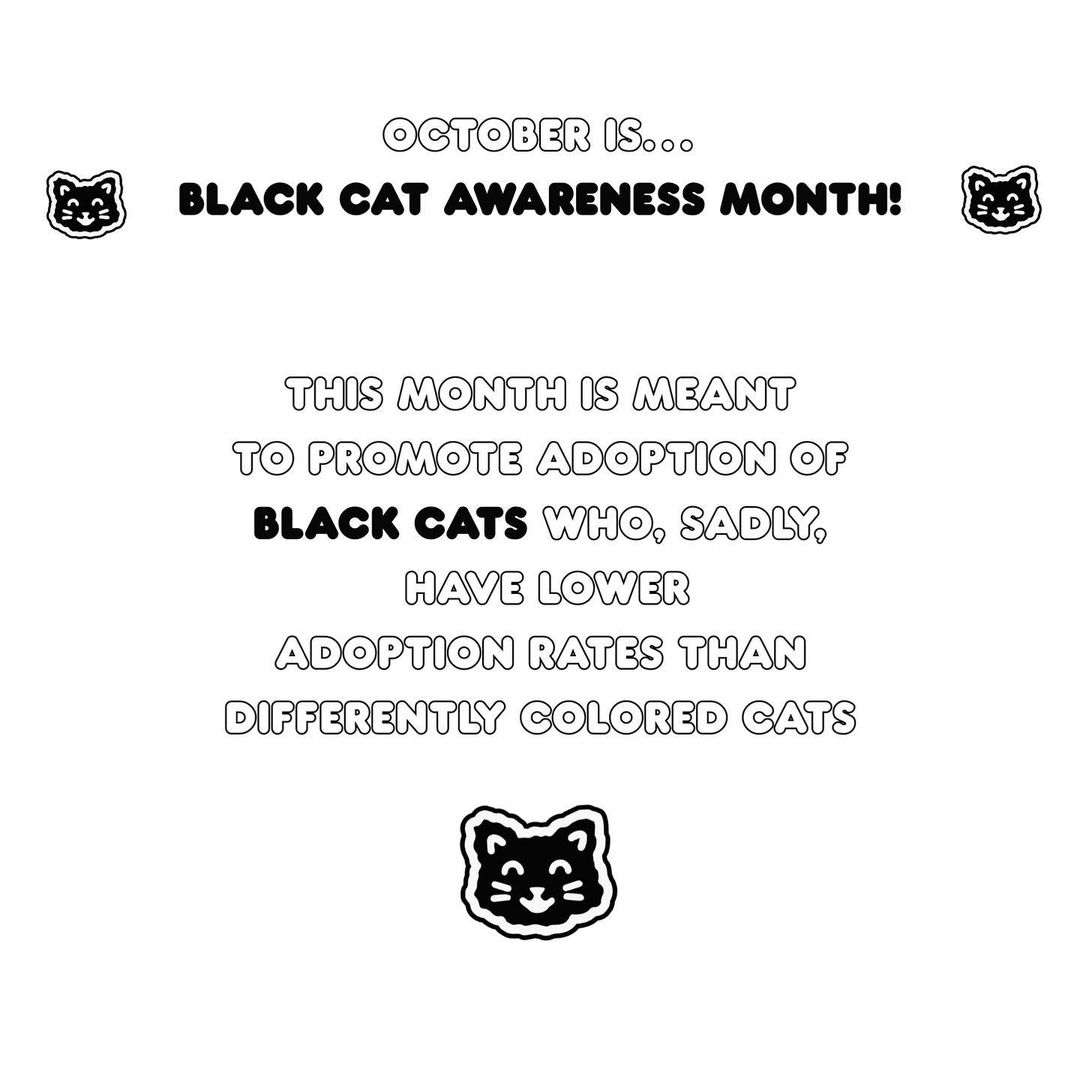 🐈‍⬛HAPPY BLACK CAT AWARENESS MONTH !! 🐈‍⬛

Repost and share🐈‍⬛!

🖤Tag us in pictures of your BLACK CATS!🐈‍⬛🖤