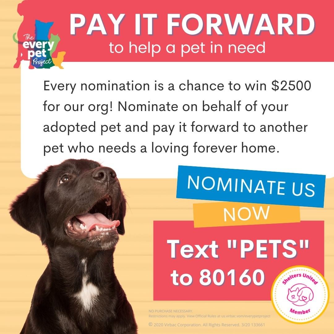 Do you know how much love and dedication goes into every pet adoption? If you adopted a pet from us, know that animal caregivers, vet techs, veterinarians, fosters, transport teams, and dedicated volunteers made sure your pet was healthy, safe, and loved. 

You can pay it forward to another pet in need right now with a nomination for our organization to win a $2500 grant. It just takes your voice and 60 seconds of your time!

We can save more lives with your voice today! Use it now and text PETS to 80160 for the <a target='_blank' href='https://www.instagram.com/explore/tags/EveryPetProject/'>#EveryPetProject</a> or click here https://us.virbac.com/home/everypetproject.html