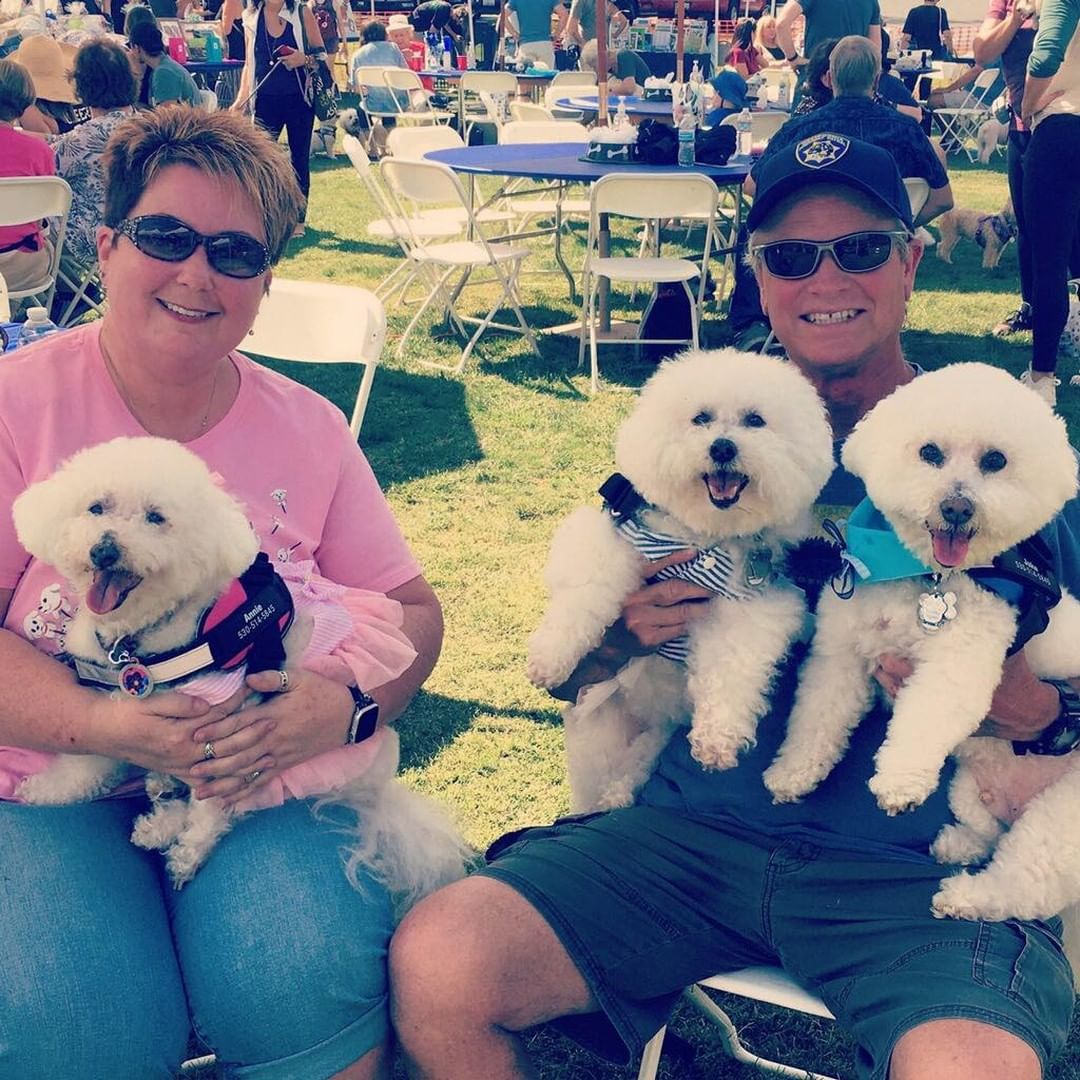 Remember Annie and Savannah of the June 2019 <a target='_blank' href='https://www.instagram.com/explore/tags/FallbrookFour/'>#FallbrookFour</a>  rescue? Here they are at Bichon Bash!  Meet the Evans family: Leslie, Dave, Annie, Savannah and Jake!
<a target='_blank' href='https://www.instagram.com/explore/tags/seniordogsrock/'>#seniordogsrock</a> <a target='_blank' href='https://www.instagram.com/explore/tags/bfkbichonbash2021/'>#bfkbichonbash2021</a>