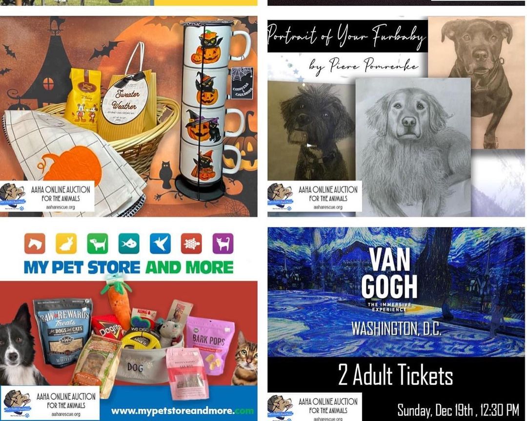 Come and join the fun! Our auction is up and running.
Hundreds of amazing items up for bid. 
100% of proceeds go to the pups of AAHA Rescue.

Make sure to turn notifications on when you click 'going' so you don't miss any of the amazing items we have up for grabs. Facebook <a target='_blank' href='https://www.instagram.com/explore/tags/auction/'>#auction</a> <a target='_blank' href='https://www.instagram.com/explore/tags/fundraiser/'>#fundraiser</a> <a target='_blank' href='https://www.instagram.com/explore/tags/endbsl/'>#endbsl</a>🚫 <a target='_blank' href='https://www.instagram.com/explore/tags/rescuedogsofinstagram/'>#rescuedogsofinstagram</a> 

https://fb.me/e/3KOAWHXUT