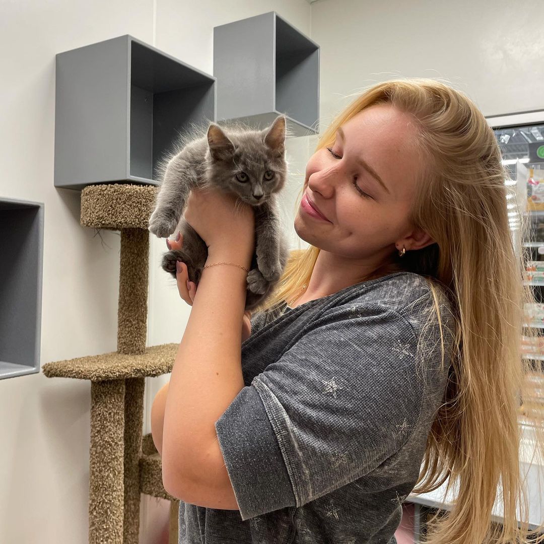 Meowth found his furever home last night! Congrats to you both!!<a target='_blank' href='https://www.instagram.com/explore/tags/adoptdontshop/'>#adoptdontshop</a> <a target='_blank' href='https://www.instagram.com/explore/tags/kittenadoption/'>#kittenadoption</a>