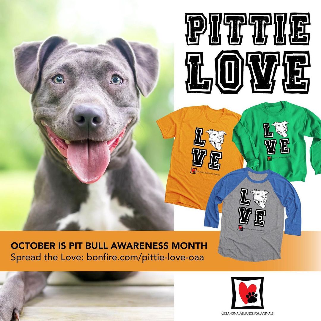 October is <a target='_blank' href='https://www.instagram.com/explore/tags/PitBullAwarenessMonth/'>#PitBullAwarenessMonth</a>, which means it's time to debut a new Pawsitively Pit T-shirt for 2021! 

Join us in spreading the 