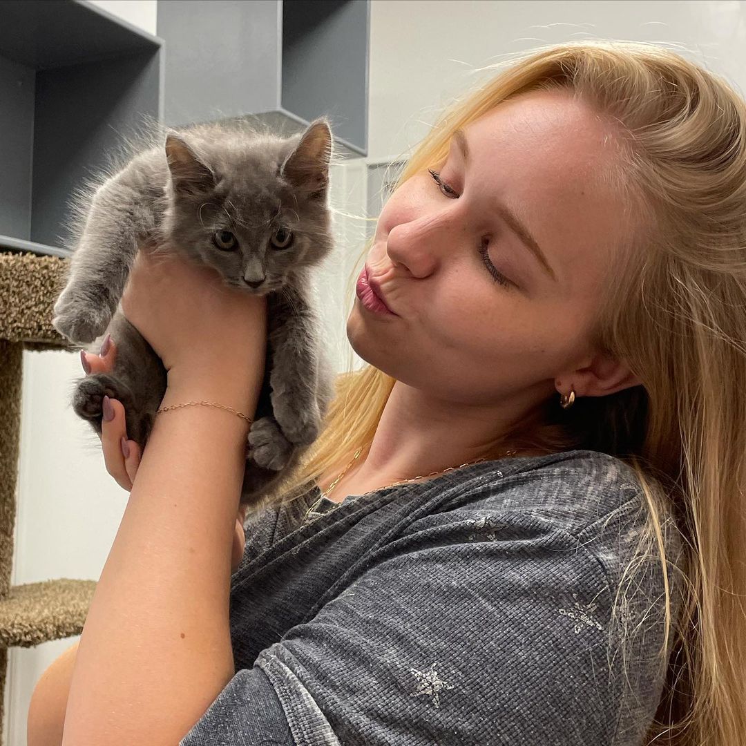 Meowth found his furever home last night! Congrats to you both!!<a target='_blank' href='https://www.instagram.com/explore/tags/adoptdontshop/'>#adoptdontshop</a> <a target='_blank' href='https://www.instagram.com/explore/tags/kittenadoption/'>#kittenadoption</a>