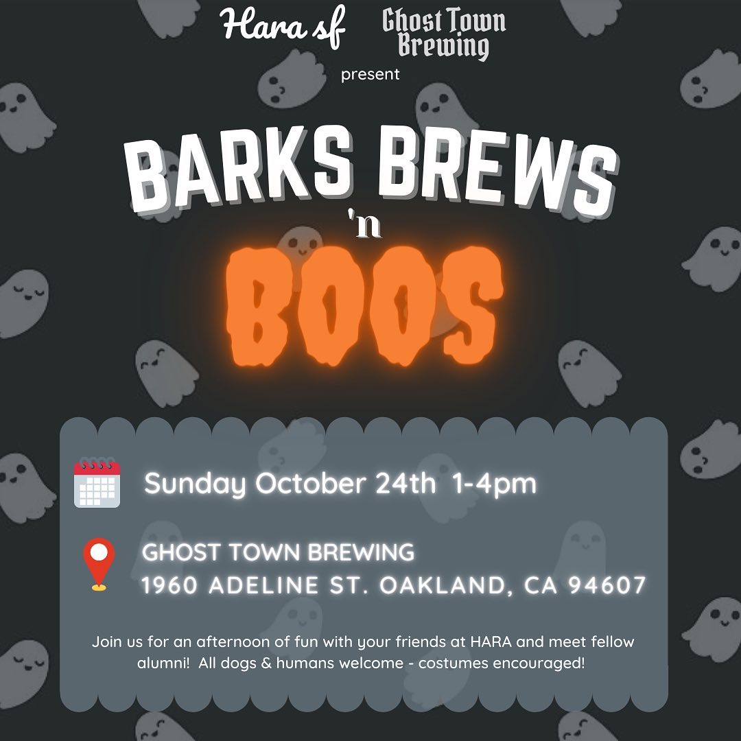 HARA friends and friends of HARA — we’re excited to announce our 1st HARA SF 🎃 social with our friends at @ghosttownbrewing 🍻! We know you’ve been waiting a long time for this!

🗓 Sunday October 24th, 2021 
⏰ 1pm-4pm
📍 Ghost Town Brewing (West Oakland)
1960 Adeline Street Oakland, CA 94607

🎃 Bring your pups in their best Halloween fits! Best in show will get to take home some fun prizes including HARA goodies and a giftcard to @gonetothedogs.co 

🎃 HARA Merch (totes & glasses) will be available for purchase in person! (Cash or Venmo)

🎃 Venue info: Masks are required (except while actively eating or drinking). Dogs must remain on leash at all times. GTB is kid friendly!

We are thrilled to finally be able to hang out with all of you (meeting many of you in person for the very first time!)! See you there! 🍻