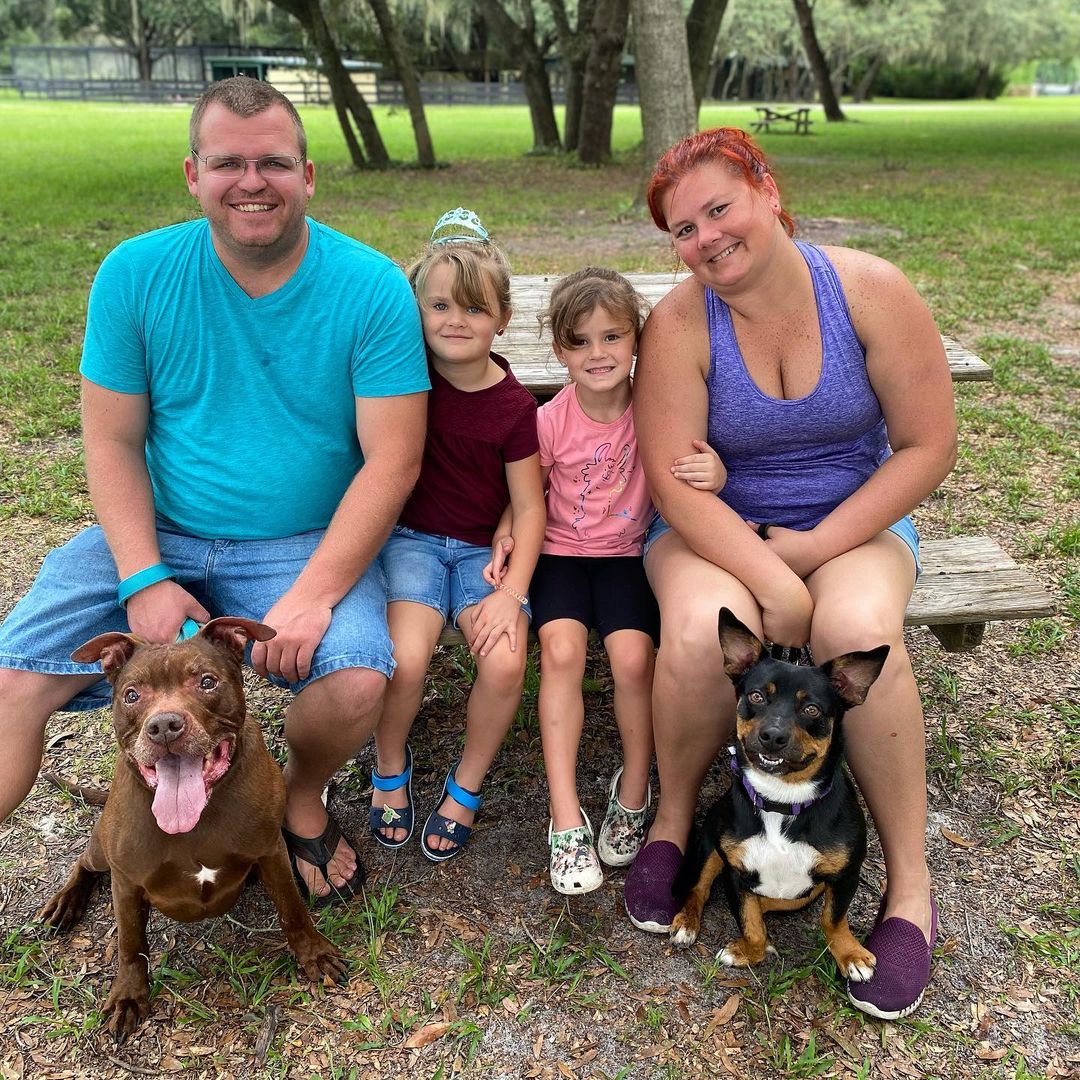 What’s better than one OWAR dog? TWO! We love repeat adopters!
Alumni Horatio and his brand new sister Katina pose with the Miles Family!
.
.
.
.
<a target='_blank' href='https://www.instagram.com/explore/tags/owar/'>#owar</a> <a target='_blank' href='https://www.instagram.com/explore/tags/onthewingsofangels/'>#onthewingsofangels</a> <a target='_blank' href='https://www.instagram.com/explore/tags/rescue/'>#rescue</a> <a target='_blank' href='https://www.instagram.com/explore/tags/rescuedog/'>#rescuedog</a> <a target='_blank' href='https://www.instagram.com/explore/tags/tamparescue/'>#tamparescue</a> <a target='_blank' href='https://www.instagram.com/explore/tags/adoptdontshop/'>#adoptdontshop</a> <a target='_blank' href='https://www.instagram.com/explore/tags/adoptme/'>#adoptme</a> <a target='_blank' href='https://www.instagram.com/explore/tags/bayarea/'>#bayarea</a> <a target='_blank' href='https://www.instagram.com/explore/tags/florida/'>#florida</a> <a target='_blank' href='https://www.instagram.com/explore/tags/floridadog/'>#floridadog</a> <a target='_blank' href='https://www.instagram.com/explore/tags/dogrescue/'>#dogrescue</a> <a target='_blank' href='https://www.instagram.com/explore/tags/dogsofinstagram/'>#dogsofinstagram</a> <a target='_blank' href='https://www.instagram.com/explore/tags/bslsucks/'>#bslsucks</a> <a target='_blank' href='https://www.instagram.com/explore/tags/dontbullymybreed/'>#dontbullymybreed</a> <a target='_blank' href='https://www.instagram.com/explore/tags/dog/'>#dog</a>