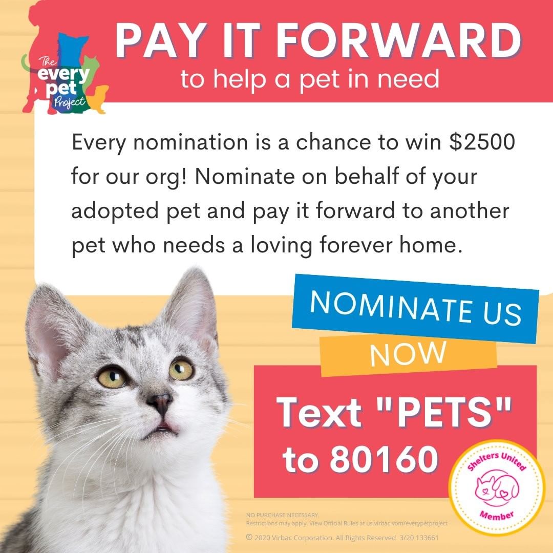 Do you know how much love and dedication goes into every pet adoption? If you adopted a pet from us, know that animal caregivers, vet techs, veterinarians, fosters, transport teams, and dedicated volunteers made sure your pet was healthy, safe, and loved. 
You can pay it forward to another pet in need right now with a nomination for our organization to win a $2500 grant. It just takes your voice and 60 seconds of your time!

We can save more lives with your voice today! Use it now and text PETS to 80160 for the <a target='_blank' href='https://www.instagram.com/explore/tags/EveryPetProject/'>#EveryPetProject</a> or click here https://us.virbac.com/home/everypetproject.html