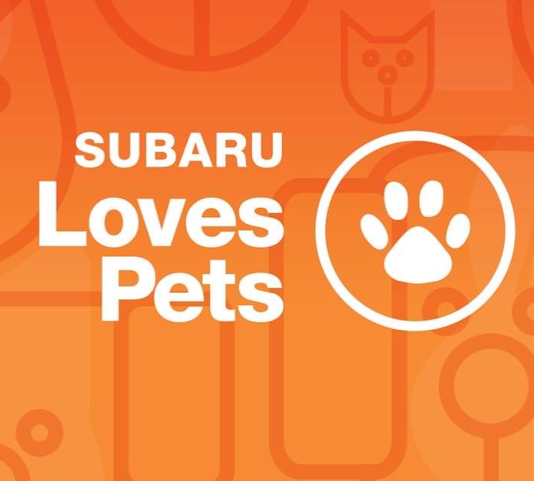 This October, Circle of Friends Animal Shelter is partnering with Grand Forks Subaru for Subaru Loves Pets Month. We extend our greatest thanks to Subaru for this wonderful opportunity to give us a platform for our pets.
<a target='_blank' href='https://www.instagram.com/explore/tags/SubaruLovesPets/'>#SubaruLovesPets</a>
 
All throughout October, we are highlighting our 