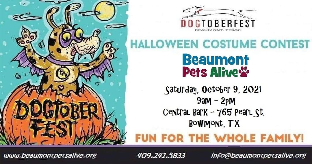 Come visit Beaumont Pets Alive at Dogtoberfest - Sat. Oct. 9th!
.
A fun and fur-filled day of family and dog events including the Strut Your Mutt Parade, contests, vendors, adoptable dogs, food/drink, bless the pets, paw readings, arts and crafts, children's games and more. 
.
Free parking and free admission. Minimal charge to participate in events. All dogs must be vaccinated and on a leash.