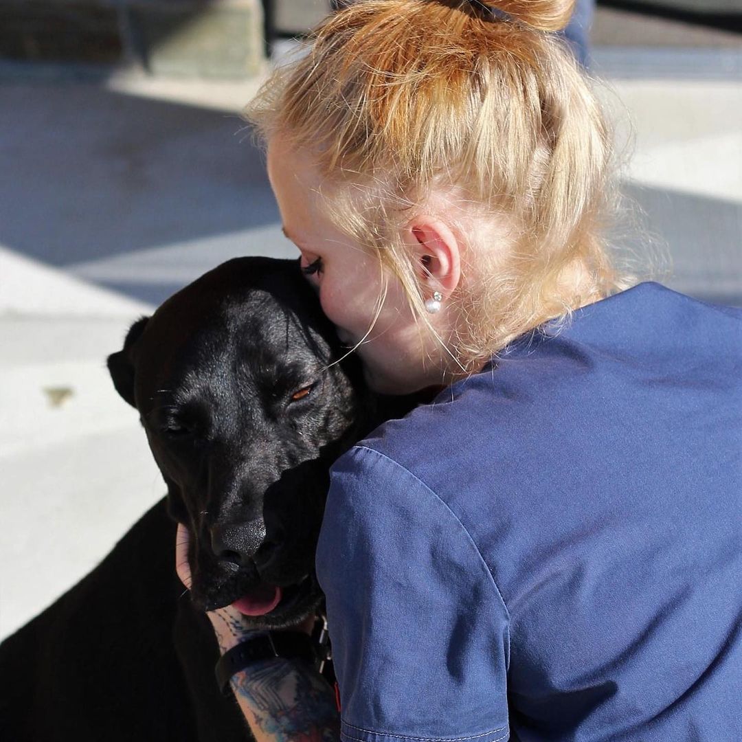 🥰 Staff appreciation post! 🥰 We are so lucky to have such a wonderful staff that truly cares about the well-being of our animals. Pictures here are a few members of or animal care team as they send Labrador, Patrick off to his live-in training program.