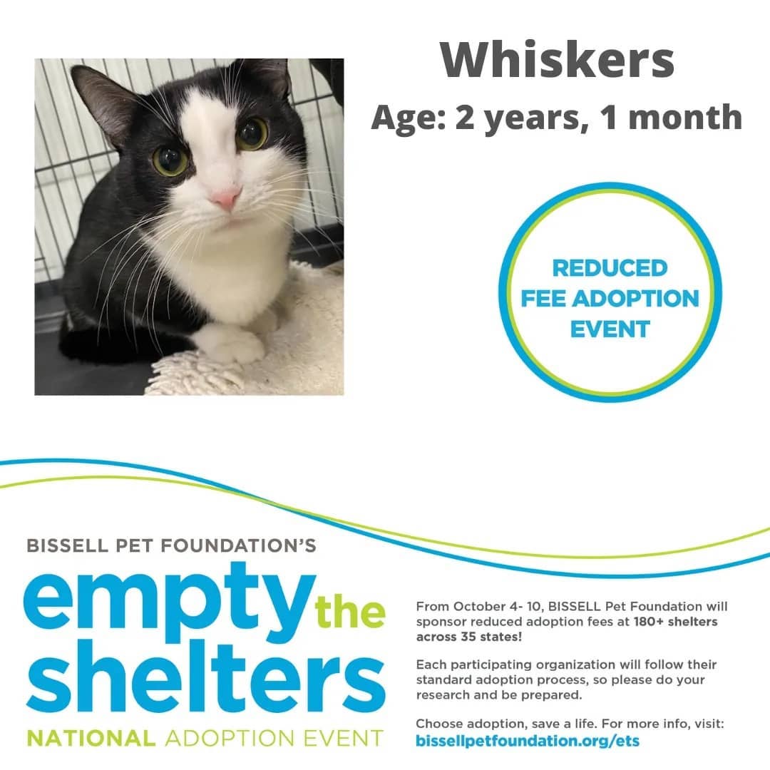 Don't miss out on the Bissell Pet Foundations Empty The Shelters Adoption event occurring this week until October 10th.

$25 FOR ALL ANIMALS!!!

The Humane Society of Marion County, Florida
We are located at:
701 NW 14th Rd
Ocala, Florida 34475
352.873.PETS

Additional event details can be found at:
https://fb.me/e/4aOYNJQQx

<a target='_blank' href='https://www.instagram.com/explore/tags/bissellpetfoundation/'>#bissellpetfoundation</a> <a target='_blank' href='https://www.instagram.com/explore/tags/bissell/'>#bissell</a> <a target='_blank' href='https://www.instagram.com/explore/tags/pets/'>#pets</a> <a target='_blank' href='https://www.instagram.com/explore/tags/instagram/'>#instagram</a> <a target='_blank' href='https://www.instagram.com/explore/tags/facebook/'>#facebook</a> <a target='_blank' href='https://www.instagram.com/explore/tags/HumaneSocietyofMarionCounty/'>#HumaneSocietyofMarionCounty</a> <a target='_blank' href='https://www.instagram.com/explore/tags/humanesociety/'>#humanesociety</a> <a target='_blank' href='https://www.instagram.com/explore/tags/MarionCounty/'>#MarionCounty</a> <a target='_blank' href='https://www.instagram.com/explore/tags/Ocala/'>#Ocala</a> <a target='_blank' href='https://www.instagram.com/explore/tags/Florida/'>#Florida</a> <a target='_blank' href='https://www.instagram.com/explore/tags/adoptlove/'>#adoptlove</a> <a target='_blank' href='https://www.instagram.com/explore/tags/adoptdontshop/'>#adoptdontshop</a>🐾 <a target='_blank' href='https://www.instagram.com/explore/tags/adoptadog/'>#adoptadog</a> <a target='_blank' href='https://www.instagram.com/explore/tags/adoptablecat/'>#adoptablecat</a> <a target='_blank' href='https://www.instagram.com/explore/tags/longterm/'>#longterm</a> <a target='_blank' href='https://www.instagram.com/explore/tags/adoptus/'>#adoptus</a> <a target='_blank' href='https://www.instagram.com/explore/tags/givelove/'>#givelove</a> <a target='_blank' href='https://www.instagram.com/explore/tags/doglife/'>#doglife</a>🐾 <a target='_blank' href='https://www.instagram.com/explore/tags/dogs_of_instagram/'>#dogs_of_instagram</a> <a target='_blank' href='https://www.instagram.com/explore/tags/catsofinstagram/'>#catsofinstagram</a> <a target='_blank' href='https://www.instagram.com/explore/tags/dogs/'>#dogs</a>🐶 <a target='_blank' href='https://www.instagram.com/explore/tags/cats/'>#cats</a>🐱 <a target='_blank' href='https://www.instagram.com/explore/tags/catsmeow/'>#catsmeow</a>