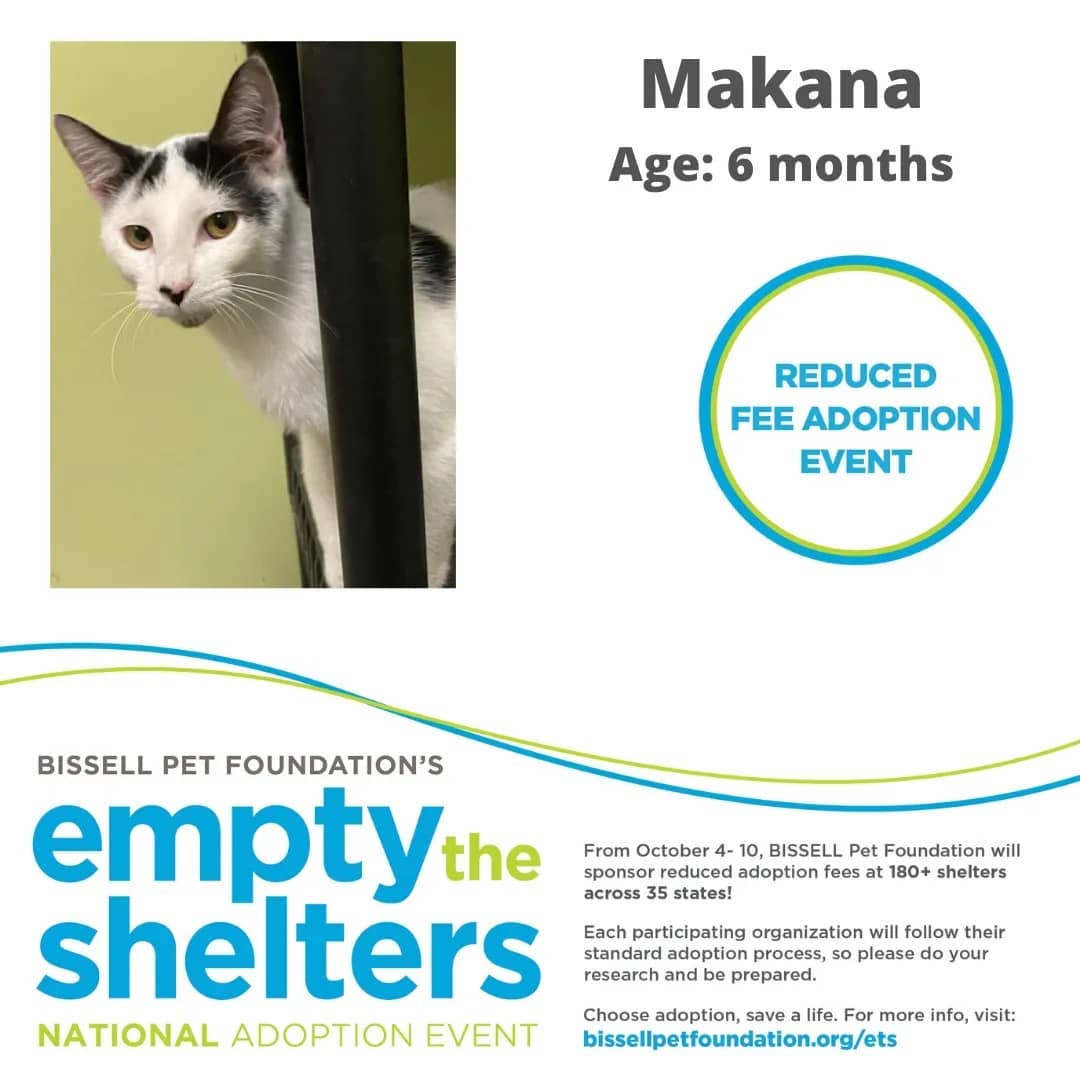 Don't miss out on the Bissell Pet Foundations Empty The Shelters Adoption event occurring this week until October 10th.

$25 FOR ALL ANIMALS!!!

The Humane Society of Marion County, Florida
We are located at:
701 NW 14th Rd
Ocala, Florida 34475
352.873.PETS

Additional event details can be found at:
https://fb.me/e/4aOYNJQQx

<a target='_blank' href='https://www.instagram.com/explore/tags/bissellpetfoundation/'>#bissellpetfoundation</a> <a target='_blank' href='https://www.instagram.com/explore/tags/bissell/'>#bissell</a> <a target='_blank' href='https://www.instagram.com/explore/tags/pets/'>#pets</a> <a target='_blank' href='https://www.instagram.com/explore/tags/instagram/'>#instagram</a> <a target='_blank' href='https://www.instagram.com/explore/tags/facebook/'>#facebook</a> <a target='_blank' href='https://www.instagram.com/explore/tags/HumaneSocietyofMarionCounty/'>#HumaneSocietyofMarionCounty</a> <a target='_blank' href='https://www.instagram.com/explore/tags/humanesociety/'>#humanesociety</a> <a target='_blank' href='https://www.instagram.com/explore/tags/MarionCounty/'>#MarionCounty</a> <a target='_blank' href='https://www.instagram.com/explore/tags/Ocala/'>#Ocala</a> <a target='_blank' href='https://www.instagram.com/explore/tags/Florida/'>#Florida</a> <a target='_blank' href='https://www.instagram.com/explore/tags/adoptlove/'>#adoptlove</a> <a target='_blank' href='https://www.instagram.com/explore/tags/adoptdontshop/'>#adoptdontshop</a>🐾 <a target='_blank' href='https://www.instagram.com/explore/tags/adoptadog/'>#adoptadog</a> <a target='_blank' href='https://www.instagram.com/explore/tags/adoptablecat/'>#adoptablecat</a> <a target='_blank' href='https://www.instagram.com/explore/tags/longterm/'>#longterm</a> <a target='_blank' href='https://www.instagram.com/explore/tags/adoptus/'>#adoptus</a> <a target='_blank' href='https://www.instagram.com/explore/tags/givelove/'>#givelove</a> <a target='_blank' href='https://www.instagram.com/explore/tags/doglife/'>#doglife</a>🐾 <a target='_blank' href='https://www.instagram.com/explore/tags/dogs_of_instagram/'>#dogs_of_instagram</a> <a target='_blank' href='https://www.instagram.com/explore/tags/catsofinstagram/'>#catsofinstagram</a> <a target='_blank' href='https://www.instagram.com/explore/tags/dogs/'>#dogs</a>🐶 <a target='_blank' href='https://www.instagram.com/explore/tags/cats/'>#cats</a>🐱 <a target='_blank' href='https://www.instagram.com/explore/tags/catsmeow/'>#catsmeow</a>