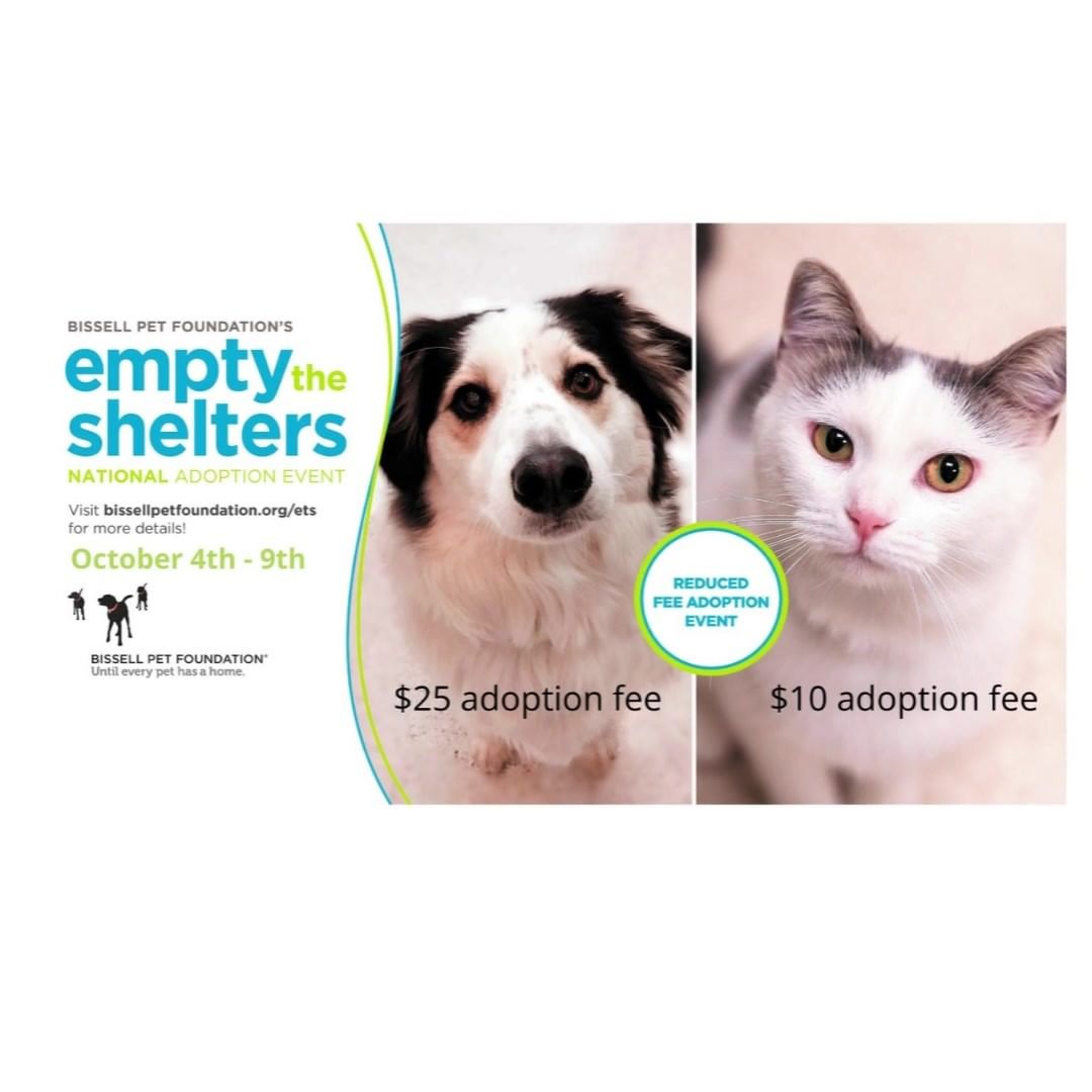 Thanks to <a target='_blank' href='https://www.instagram.com/explore/tags/BissellPetFoundation/'>#BissellPetFoundation</a> , we are able to reduce our adoption fees this week. Fees for cats are only $10 and dogs are only $25. Don't miss this great opportunity to find your new best friend. <a target='_blank' href='https://www.instagram.com/explore/tags/EmptyTheShelters/'>#EmptyTheShelters</a>