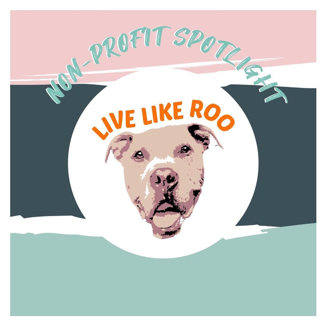 .
We are so freaking excited to have @livelikeroofoundation at our annual It's All About The Paws: Adoption Event for their first year with us! 🎉

Live Like Roo is a 501c3 that assists animals through a cancer diagnosis by providing financial and emotional support to their owners. Their reach is worldwide, but are based in Chicago. Since 2016, they have granted over $1,000,000 to families going through one of the most difficult times of their lives. They send cancer care packages to animals with a cancer diagnosis. The care packages include a blanket, a tennis ball, toys, treats, aMcDonald's gift card-all of the things that Roo, the rescue dog, loved. Their goal is to inspire others to live every day like it is your last - Live Like Roo.
_____
https://www.livelikeroo.org/

🗓 Make sure to stop by our event on Saturday, October 9th & Sunday, October 10th in St. Charles, IL. Live Like roo will be attending both days!
_____
Please consider donating to our annual adoption event (& fundraiser). All proceeds are donated directly back to the rescues involved. There are several ways you can donate; PayPal, Venmo, Zelle, or our Facebook Fundraiser (link in comments )

Every single dollar makes a difference and will help our local rescue partners to continue to save lives and find happy & loving homes for all!
_____
[LINKS IN BIO]

<a target='_blank' href='https://www.instagram.com/explore/tags/IAATP/'>#IAATP</a> <a target='_blank' href='https://www.instagram.com/explore/tags/IAATP2021/'>#IAATP2021</a> <a target='_blank' href='https://www.instagram.com/explore/tags/ChooseKindness/'>#ChooseKindness</a>
