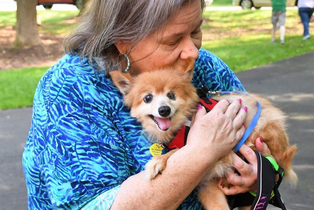 ADOPTION SUCCESS!!! Our tiny, 15-year-old Pomeranian, Foxy, has a new family who pampers and adores her. We cherish adopters like Susan and John who give sassy seniors like Foxy the love and care they deserve in their golden years. <a target='_blank' href='https://www.instagram.com/explore/tags/worthydog/'>#worthydog</a>