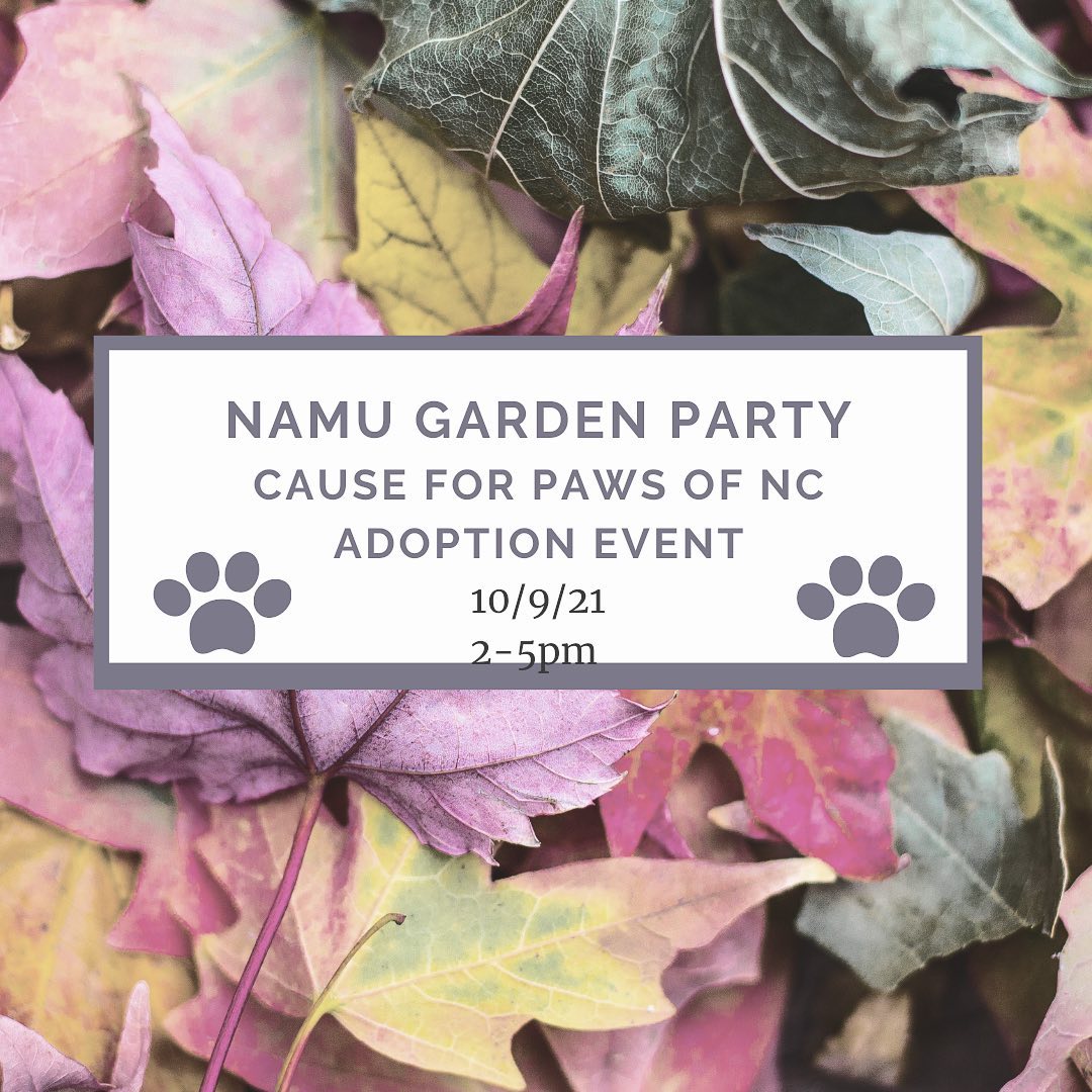 Today… it’s raining but we are indoors with your next best friend! 

Come to Namu Beer Hall at 2pm and get a kiss from some of the pups looking for their next furever family and grab yourself a beer! 

@namudurham