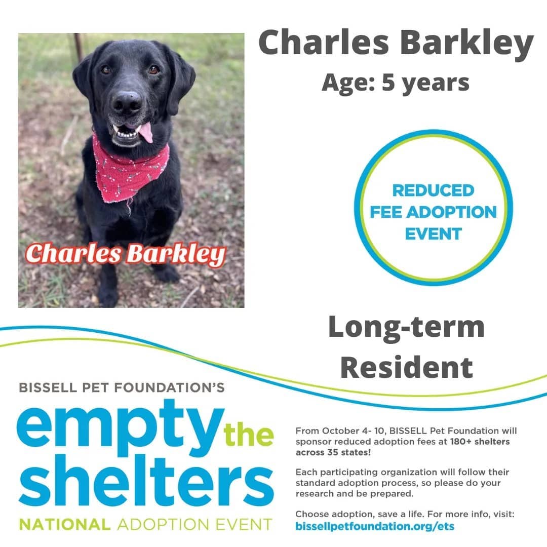 Don't miss out on the Bissell Pet Foundations Empty The Shelters Adoption event occurring this week until October 10th.

$25 FOR ALL ANIMALS!!!

The Humane Society of Marion County, Florida
We are located at:
701 NW 14th Rd
Ocala, Florida 34475
352.873.PETS

Additional event details can be found at:
https://fb.me/e/4aOYNJQQx

<a target='_blank' href='https://www.instagram.com/explore/tags/bissellpetfoundation/'>#bissellpetfoundation</a> <a target='_blank' href='https://www.instagram.com/explore/tags/bissell/'>#bissell</a> <a target='_blank' href='https://www.instagram.com/explore/tags/pets/'>#pets</a> <a target='_blank' href='https://www.instagram.com/explore/tags/instagram/'>#instagram</a> <a target='_blank' href='https://www.instagram.com/explore/tags/facebook/'>#facebook</a> <a target='_blank' href='https://www.instagram.com/explore/tags/HumaneSocietyofMarionCounty/'>#HumaneSocietyofMarionCounty</a> <a target='_blank' href='https://www.instagram.com/explore/tags/humanesociety/'>#humanesociety</a> <a target='_blank' href='https://www.instagram.com/explore/tags/MarionCounty/'>#MarionCounty</a> <a target='_blank' href='https://www.instagram.com/explore/tags/Ocala/'>#Ocala</a> <a target='_blank' href='https://www.instagram.com/explore/tags/Florida/'>#Florida</a> <a target='_blank' href='https://www.instagram.com/explore/tags/adoptlove/'>#adoptlove</a> <a target='_blank' href='https://www.instagram.com/explore/tags/adoptdontshop/'>#adoptdontshop</a>🐾 <a target='_blank' href='https://www.instagram.com/explore/tags/adoptadog/'>#adoptadog</a> <a target='_blank' href='https://www.instagram.com/explore/tags/adoptablecat/'>#adoptablecat</a> <a target='_blank' href='https://www.instagram.com/explore/tags/longterm/'>#longterm</a> <a target='_blank' href='https://www.instagram.com/explore/tags/adoptus/'>#adoptus</a> <a target='_blank' href='https://www.instagram.com/explore/tags/givelove/'>#givelove</a> <a target='_blank' href='https://www.instagram.com/explore/tags/doglife/'>#doglife</a>🐾 <a target='_blank' href='https://www.instagram.com/explore/tags/dogs_of_instagram/'>#dogs_of_instagram</a> <a target='_blank' href='https://www.instagram.com/explore/tags/catsofinstagram/'>#catsofinstagram</a> <a target='_blank' href='https://www.instagram.com/explore/tags/dogs/'>#dogs</a>🐶 <a target='_blank' href='https://www.instagram.com/explore/tags/cats/'>#cats</a>🐱 <a target='_blank' href='https://www.instagram.com/explore/tags/catsmeow/'>#catsmeow</a>