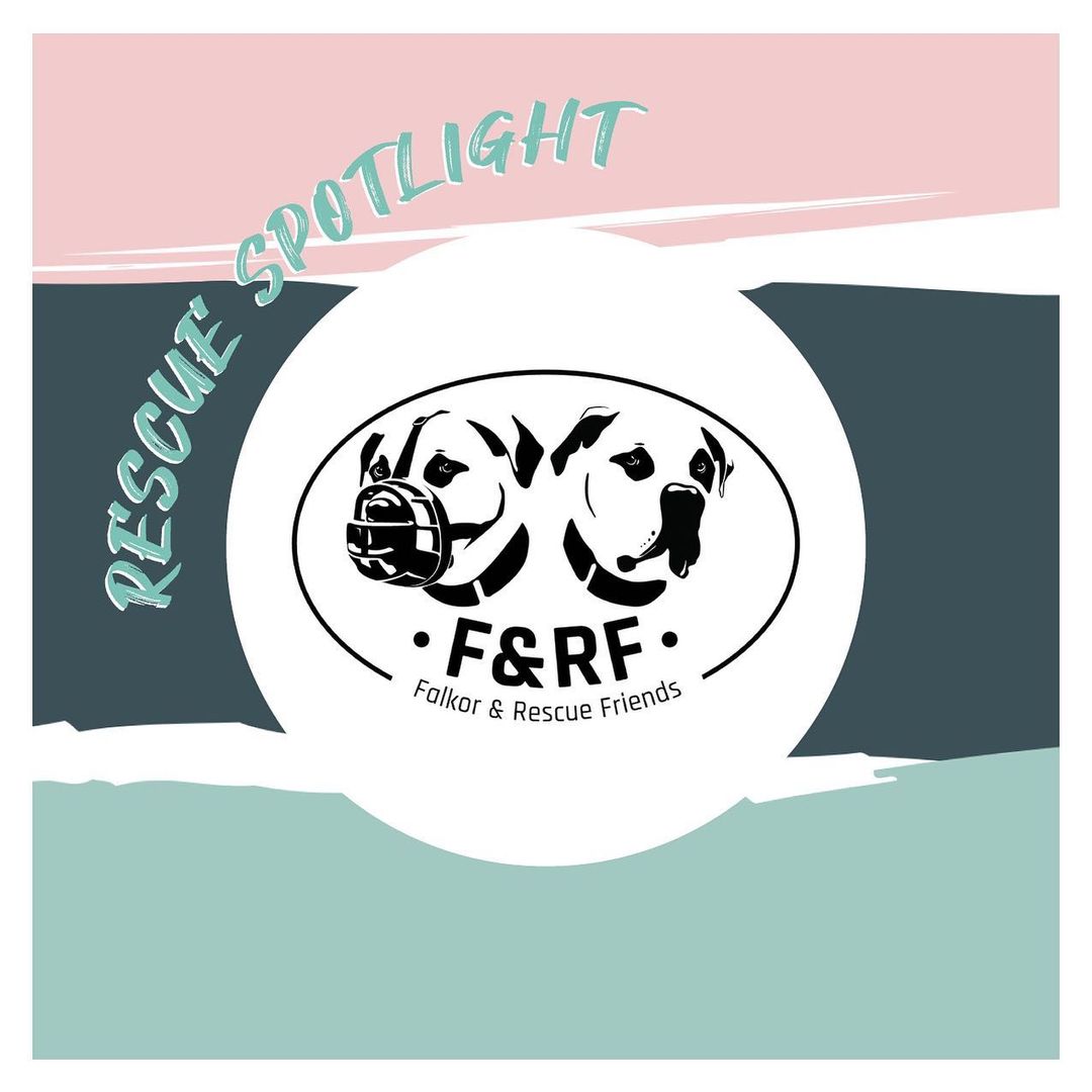 .
And, last but definitely not least, @falkorandrescuefriends will be attending our It’s All About The Paws: Adoption Event! 🖤

Falkor & Rescue Friends, NFP is a 501(c)3 organization that is dedicated to raising awareness and educating our communities on the importance of understanding dogs' behavior and how they are communicating as individuals with their humans. F&RF is dedicated to assisting humans with being proactive when undesirable behaviors begin. Resulting in helping humans keep their dogs and helping to make Chicago a no-kill city. F&RF is a sanctuary for dogs that cannot be adopted because of behavior issues that are unsafe for the average home. F&RF is also a rescue that helps to get dogs adopted into forever homes.

🗓️ Make sure to stop by our event on Saturday, October 9th & Sunday, October 10th in St. Charles, IL. Falkor & Rescue Friends will be attending on both days from 11-5PM.

Please consider donating to our annual adoption event (& fundraiser). All proceeds are donated directly back to the rescues involved. There are several ways you can donate; PayPal, Venmo, Zelle, or our Facebook Fundraiser [LINK IN BIO].

Every single dollar makes a difference and will help our local rescue partners to continue to save lives and find happy & loving homes for all!

<a target='_blank' href='https://www.instagram.com/explore/tags/IAATP/'>#IAATP</a> <a target='_blank' href='https://www.instagram.com/explore/tags/IAATP2021/'>#IAATP2021</a> <a target='_blank' href='https://www.instagram.com/explore/tags/ChooseKindness/'>#ChooseKindness</a>