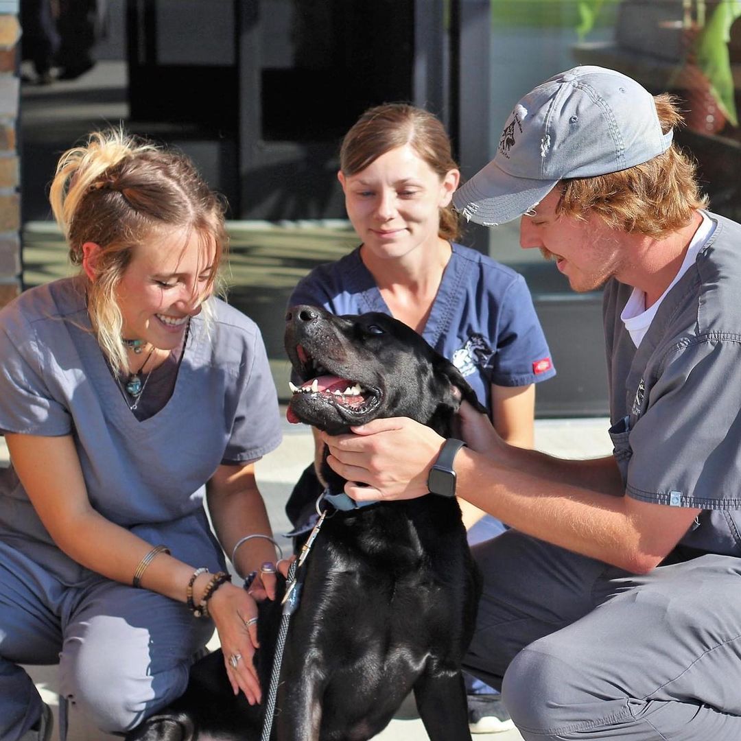 🥰 Staff appreciation post! 🥰 We are so lucky to have such a wonderful staff that truly cares about the well-being of our animals. Pictures here are a few members of or animal care team as they send Labrador, Patrick off to his live-in training program.