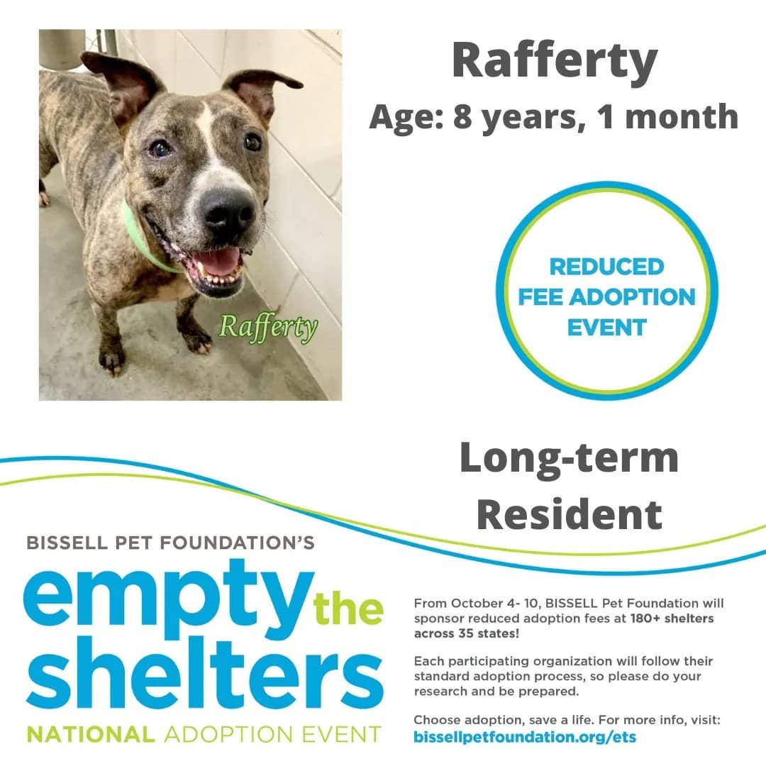 Don't miss out on the Bissell Pet Foundations Empty The Shelters Adoption event occurring this week until October 10th.

$25 FOR ALL ANIMALS!!!

The Humane Society of Marion County, Florida
We are located at:
701 NW 14th Rd
Ocala, Florida 34475
352.873.PETS

Additional event details can be found at:
https://fb.me/e/4aOYNJQQx

<a target='_blank' href='https://www.instagram.com/explore/tags/bissellpetfoundation/'>#bissellpetfoundation</a> <a target='_blank' href='https://www.instagram.com/explore/tags/bissell/'>#bissell</a> <a target='_blank' href='https://www.instagram.com/explore/tags/pets/'>#pets</a> <a target='_blank' href='https://www.instagram.com/explore/tags/instagram/'>#instagram</a> <a target='_blank' href='https://www.instagram.com/explore/tags/facebook/'>#facebook</a> <a target='_blank' href='https://www.instagram.com/explore/tags/HumaneSocietyofMarionCounty/'>#HumaneSocietyofMarionCounty</a> <a target='_blank' href='https://www.instagram.com/explore/tags/humanesociety/'>#humanesociety</a> <a target='_blank' href='https://www.instagram.com/explore/tags/MarionCounty/'>#MarionCounty</a> <a target='_blank' href='https://www.instagram.com/explore/tags/Ocala/'>#Ocala</a> <a target='_blank' href='https://www.instagram.com/explore/tags/Florida/'>#Florida</a> <a target='_blank' href='https://www.instagram.com/explore/tags/adoptlove/'>#adoptlove</a> <a target='_blank' href='https://www.instagram.com/explore/tags/adoptdontshop/'>#adoptdontshop</a>🐾 <a target='_blank' href='https://www.instagram.com/explore/tags/adoptadog/'>#adoptadog</a> <a target='_blank' href='https://www.instagram.com/explore/tags/adoptablecat/'>#adoptablecat</a> <a target='_blank' href='https://www.instagram.com/explore/tags/longterm/'>#longterm</a> <a target='_blank' href='https://www.instagram.com/explore/tags/adoptus/'>#adoptus</a> <a target='_blank' href='https://www.instagram.com/explore/tags/givelove/'>#givelove</a> <a target='_blank' href='https://www.instagram.com/explore/tags/doglife/'>#doglife</a>🐾 <a target='_blank' href='https://www.instagram.com/explore/tags/dogs_of_instagram/'>#dogs_of_instagram</a> <a target='_blank' href='https://www.instagram.com/explore/tags/catsofinstagram/'>#catsofinstagram</a> <a target='_blank' href='https://www.instagram.com/explore/tags/dogs/'>#dogs</a>🐶 <a target='_blank' href='https://www.instagram.com/explore/tags/cats/'>#cats</a>🐱 <a target='_blank' href='https://www.instagram.com/explore/tags/catsmeow/'>#catsmeow</a>