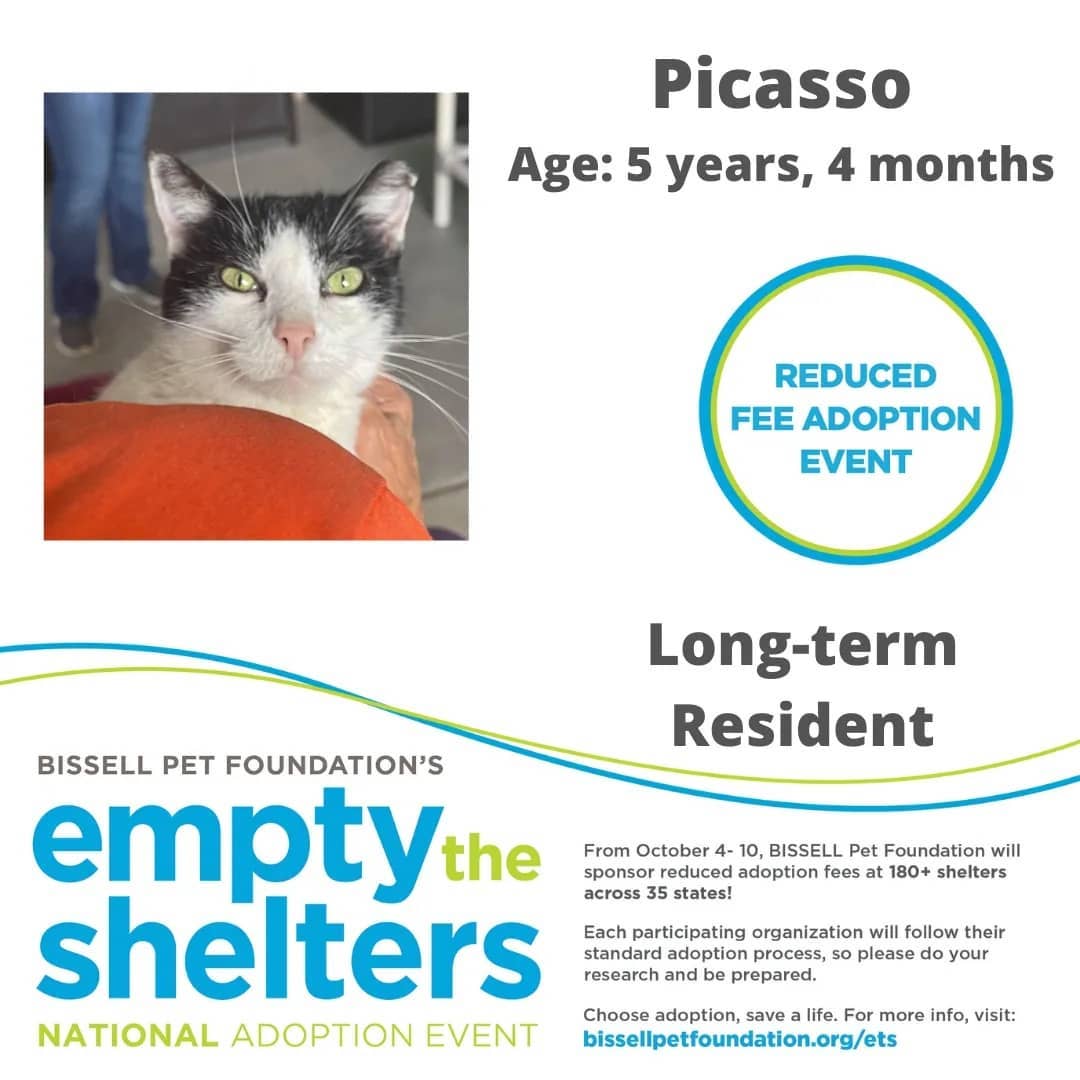 Don't miss out on the Bissell Pet Foundations Empty The Shelters Adoption event occurring this week until October 10th.

$25 FOR ALL ANIMALS!!!

The Humane Society of Marion County, Florida
We are located at:
701 NW 14th Rd
Ocala, Florida 34475
352.873.PETS

Additional event details can be found at:
https://fb.me/e/4aOYNJQQx

<a target='_blank' href='https://www.instagram.com/explore/tags/bissellpetfoundation/'>#bissellpetfoundation</a> <a target='_blank' href='https://www.instagram.com/explore/tags/bissell/'>#bissell</a> <a target='_blank' href='https://www.instagram.com/explore/tags/pets/'>#pets</a> <a target='_blank' href='https://www.instagram.com/explore/tags/instagram/'>#instagram</a> <a target='_blank' href='https://www.instagram.com/explore/tags/facebook/'>#facebook</a> <a target='_blank' href='https://www.instagram.com/explore/tags/HumaneSocietyofMarionCounty/'>#HumaneSocietyofMarionCounty</a> <a target='_blank' href='https://www.instagram.com/explore/tags/humanesociety/'>#humanesociety</a> <a target='_blank' href='https://www.instagram.com/explore/tags/MarionCounty/'>#MarionCounty</a> <a target='_blank' href='https://www.instagram.com/explore/tags/Ocala/'>#Ocala</a> <a target='_blank' href='https://www.instagram.com/explore/tags/Florida/'>#Florida</a> <a target='_blank' href='https://www.instagram.com/explore/tags/adoptlove/'>#adoptlove</a> <a target='_blank' href='https://www.instagram.com/explore/tags/adoptdontshop/'>#adoptdontshop</a>🐾 <a target='_blank' href='https://www.instagram.com/explore/tags/adoptadog/'>#adoptadog</a> <a target='_blank' href='https://www.instagram.com/explore/tags/adoptablecat/'>#adoptablecat</a> <a target='_blank' href='https://www.instagram.com/explore/tags/longterm/'>#longterm</a> <a target='_blank' href='https://www.instagram.com/explore/tags/adoptus/'>#adoptus</a> <a target='_blank' href='https://www.instagram.com/explore/tags/givelove/'>#givelove</a> <a target='_blank' href='https://www.instagram.com/explore/tags/doglife/'>#doglife</a>🐾 <a target='_blank' href='https://www.instagram.com/explore/tags/dogs_of_instagram/'>#dogs_of_instagram</a> <a target='_blank' href='https://www.instagram.com/explore/tags/catsofinstagram/'>#catsofinstagram</a> <a target='_blank' href='https://www.instagram.com/explore/tags/dogs/'>#dogs</a>🐶 <a target='_blank' href='https://www.instagram.com/explore/tags/cats/'>#cats</a>🐱 <a target='_blank' href='https://www.instagram.com/explore/tags/catsmeow/'>#catsmeow</a>